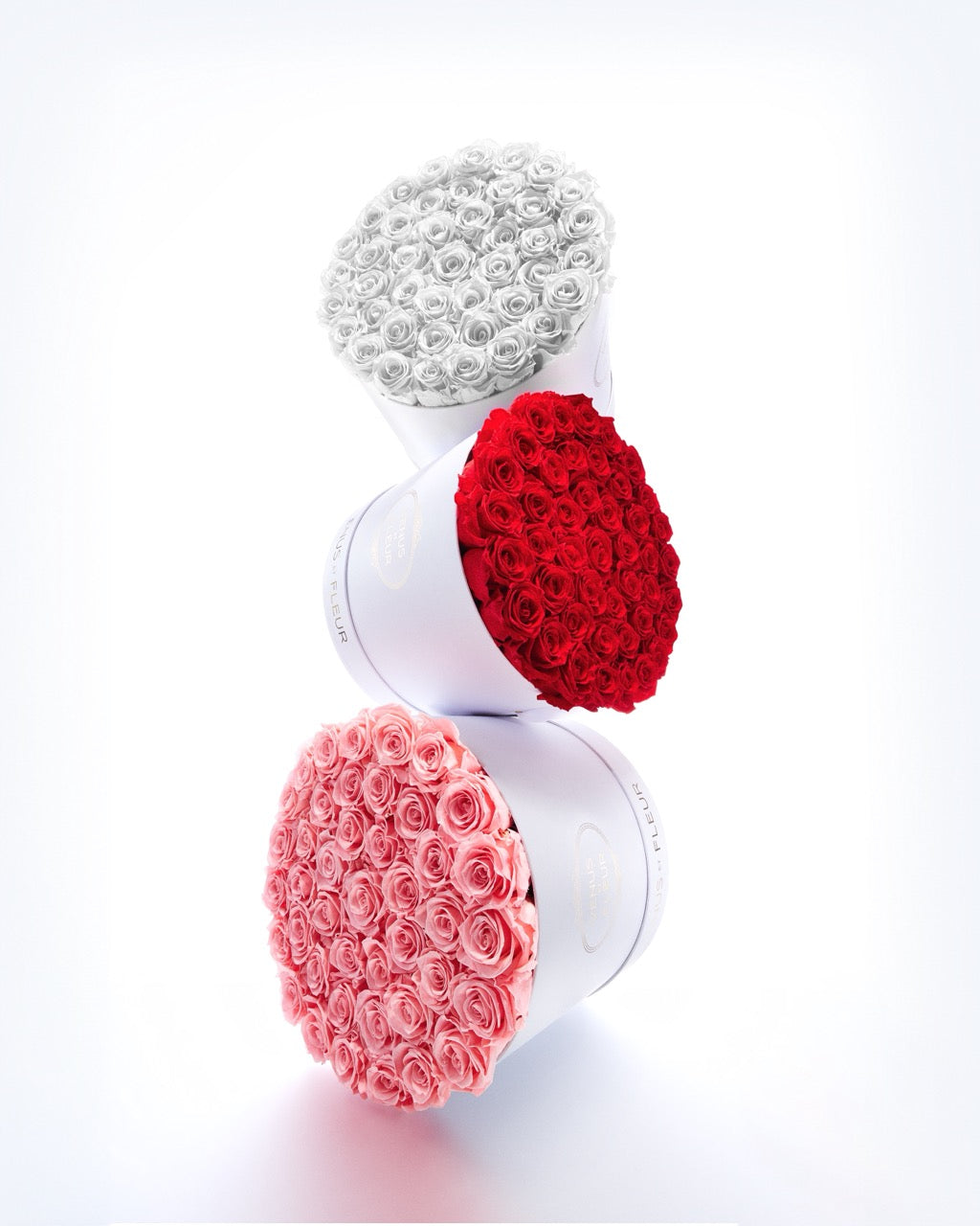 VDAY2025_SUPPLEMENTAL_01_LargeRoundAssets_R1_Large_72c1a85f-a7d1-4202-b3a3-d9d9fc577396-1.jpg