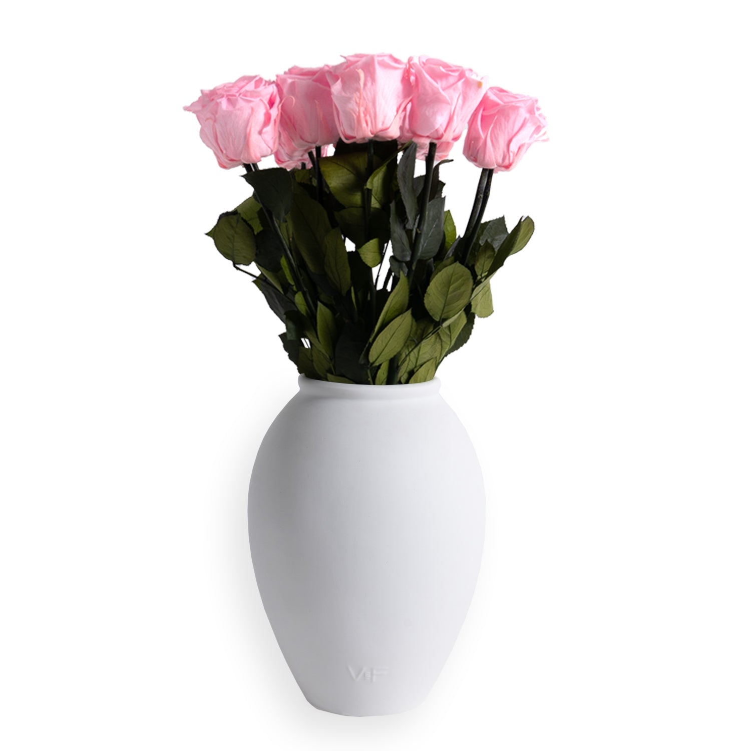 VDAY25_Amphora_Front_BalletPink_fb88984c-1adf-4811-b125-71860001b46f.jpg