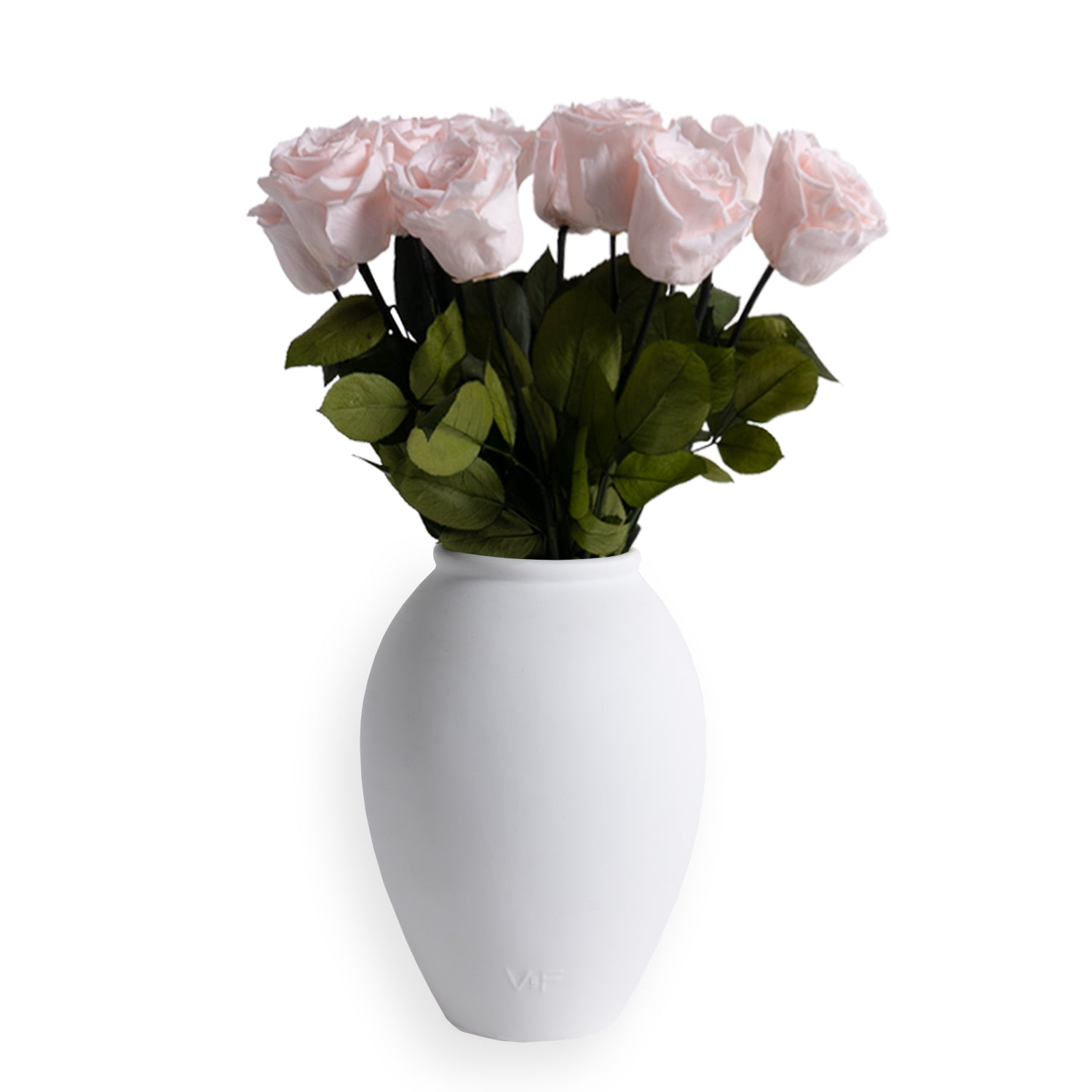 VDAY25_Amphora_Front_Blush_1.jpg