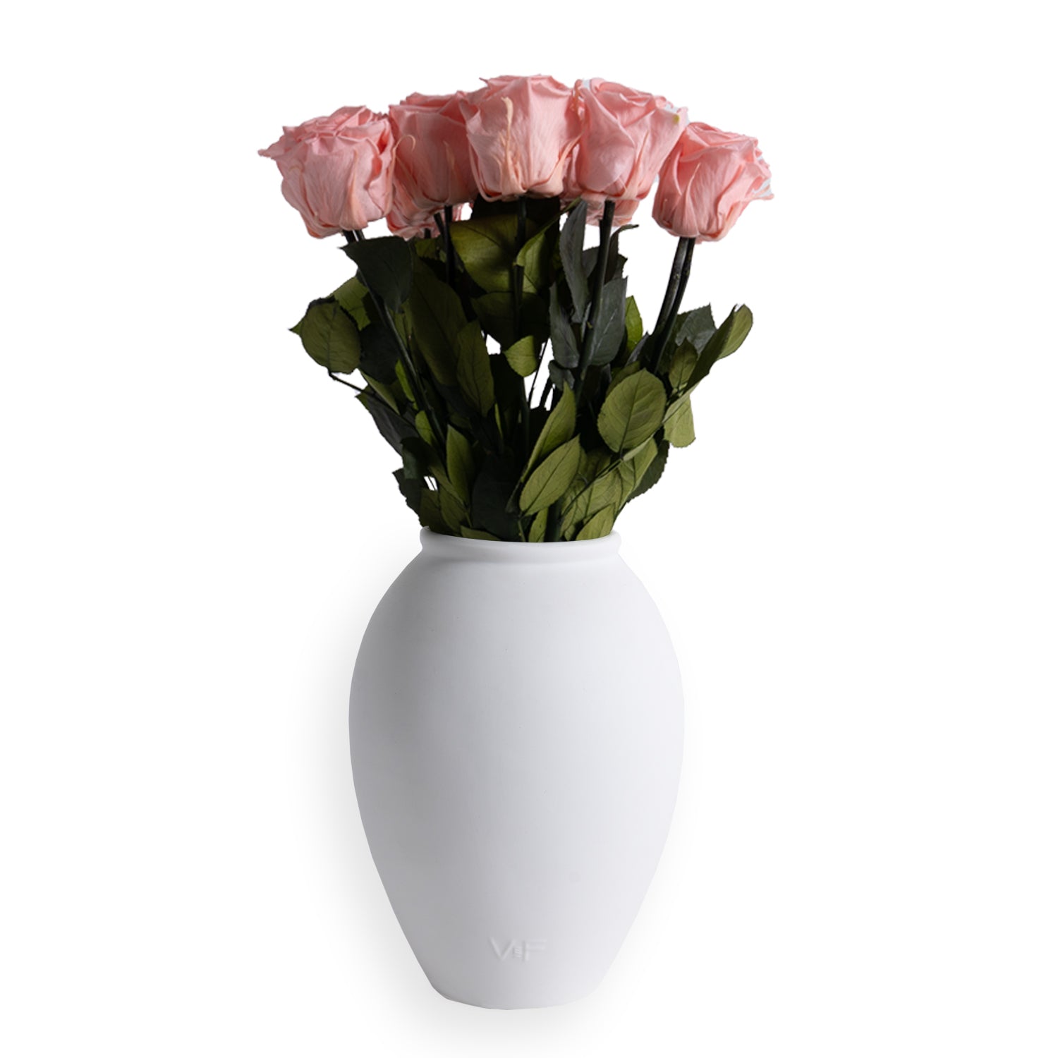 VDAY25_Amphora_Front_Conch_1.jpg