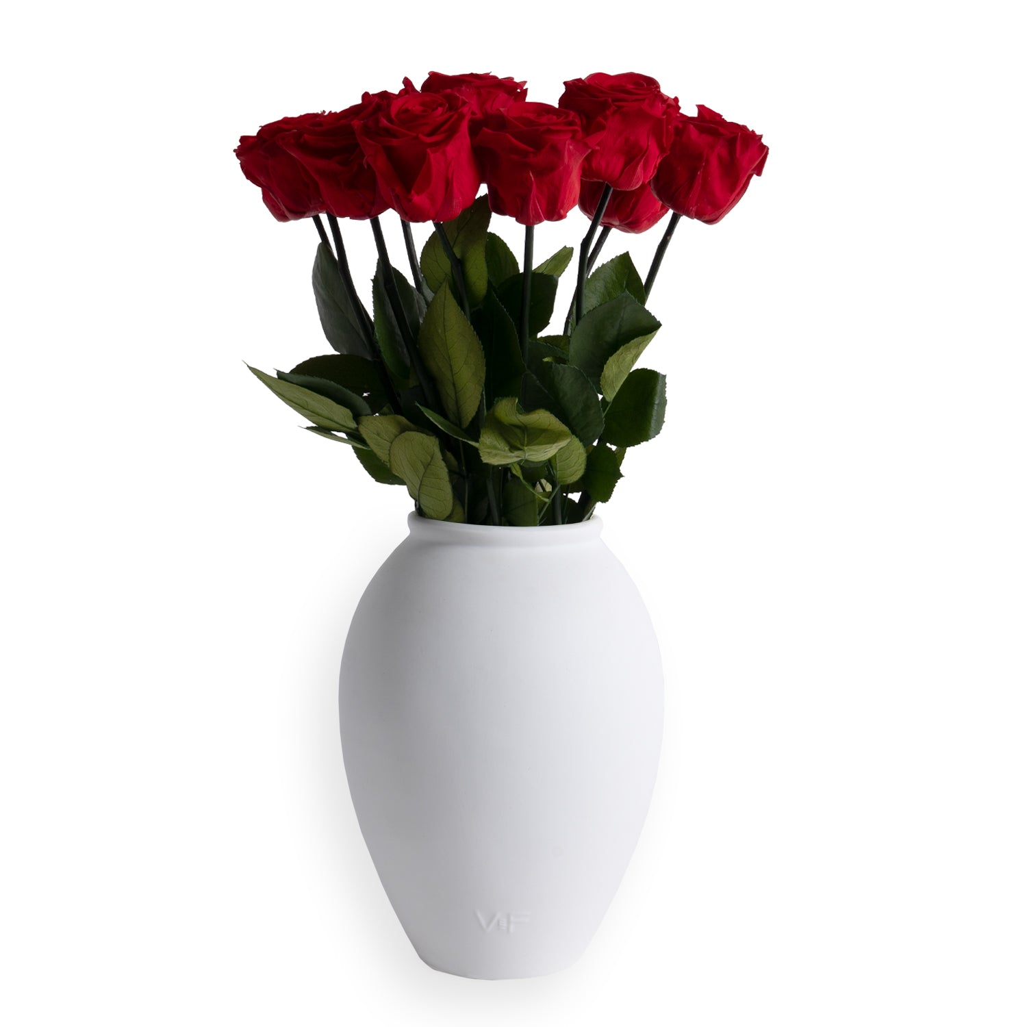 VDAY25_Amphora_Front_Red_1.jpg