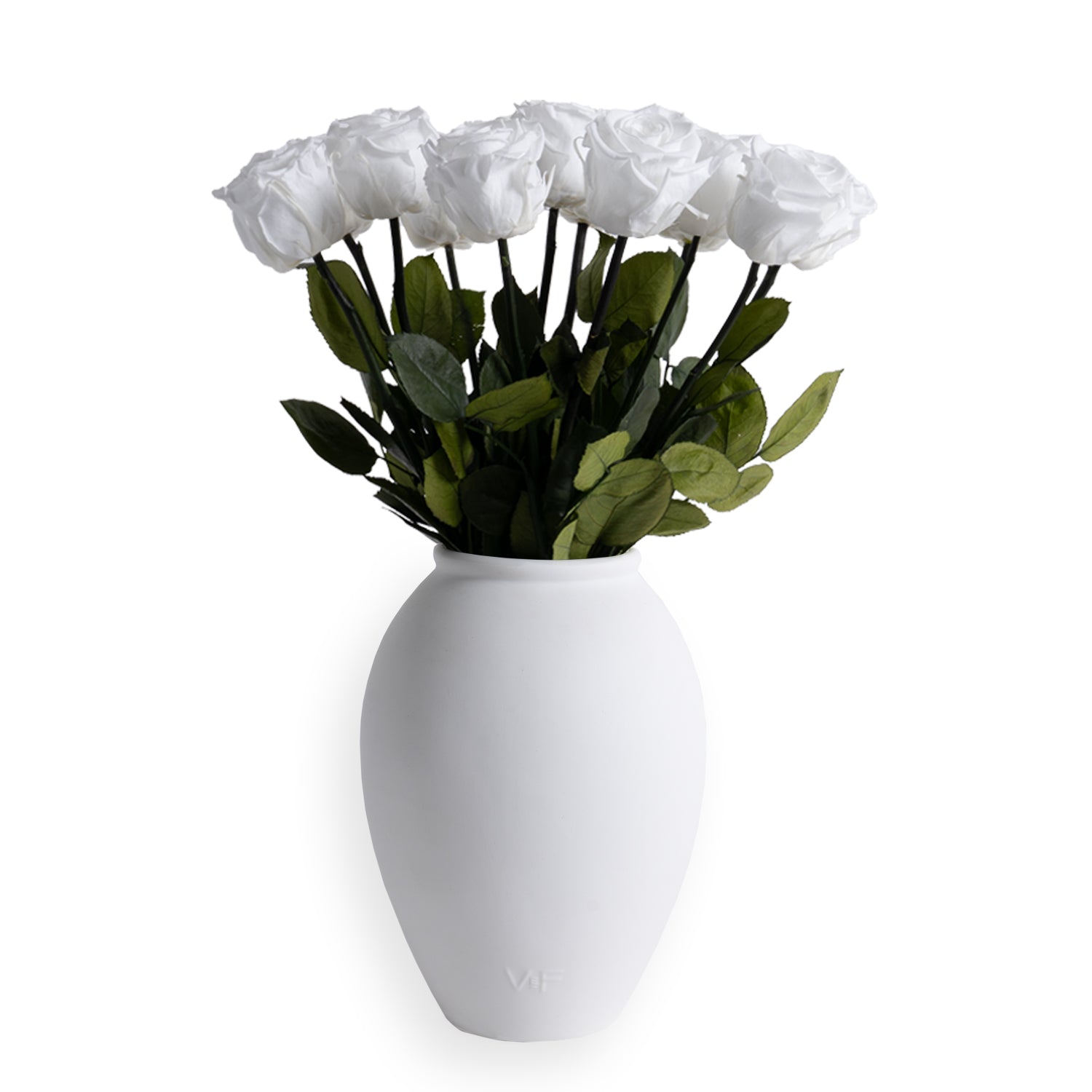 VDAY25_Amphora_Front_White_2.jpg