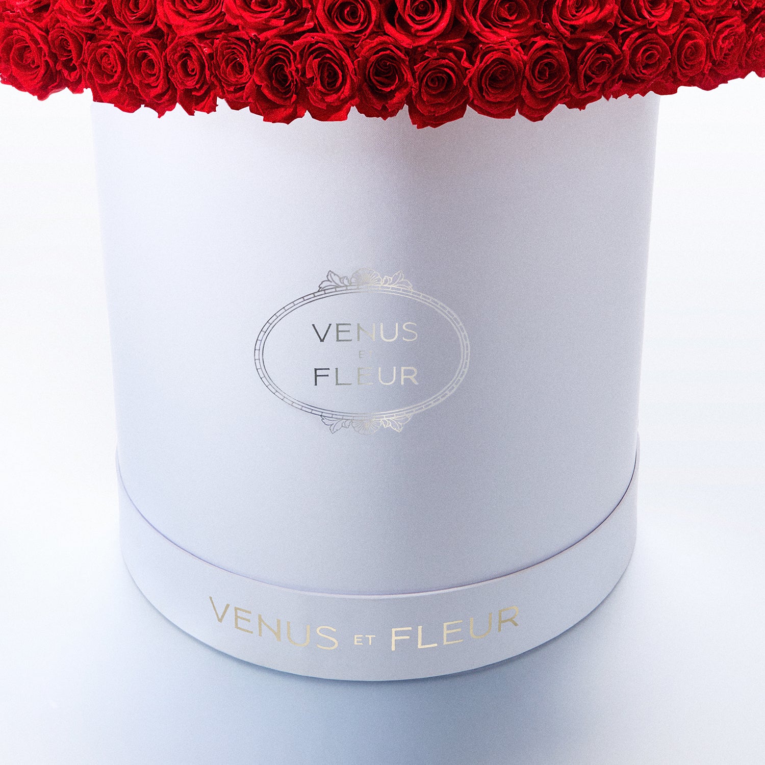 VDAY25_GrandioseLePlein_Macro_Logo.jpg