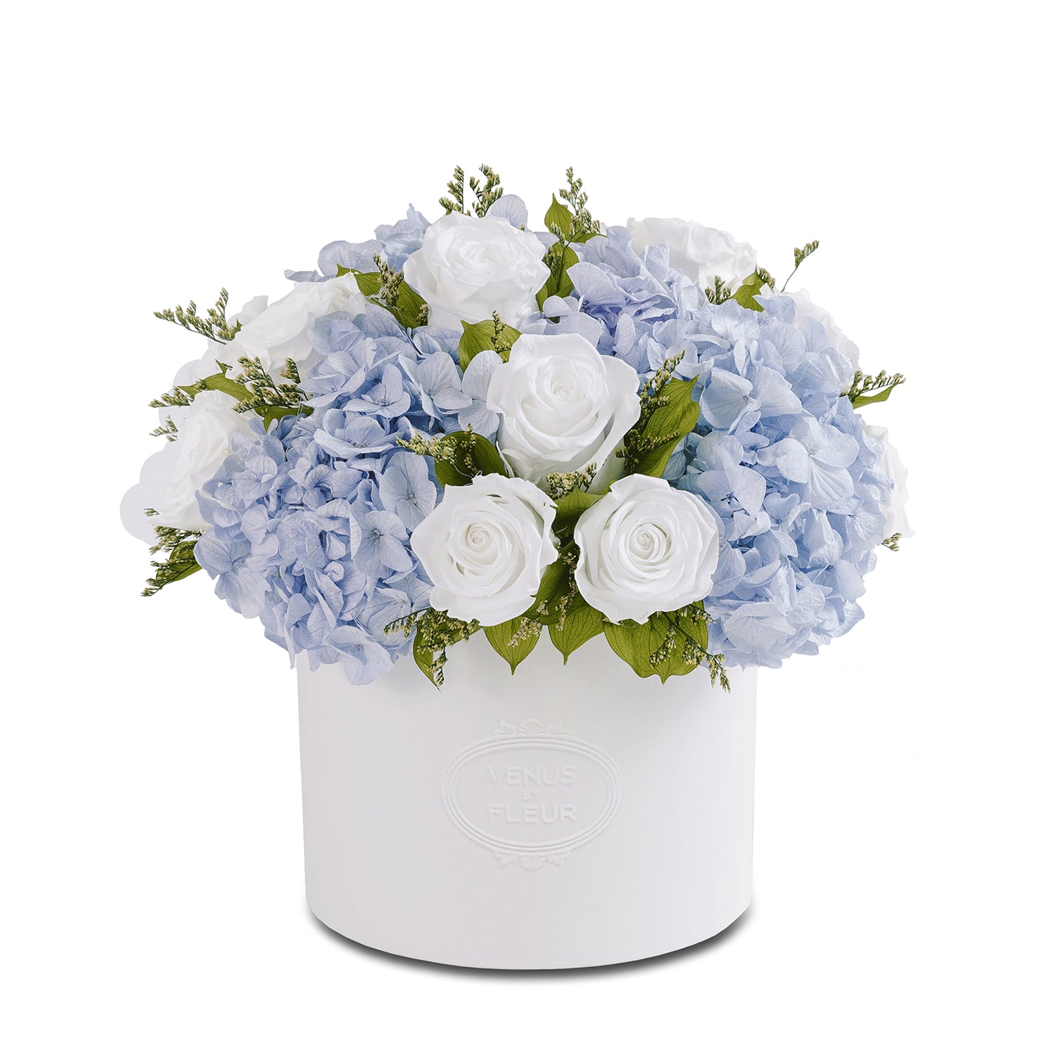 VENUS-ET-FLEUR-MOTHERS-DAY-2025-COASTAL-BLUE-HYDRANGEA-THALIA-SILO.jpg