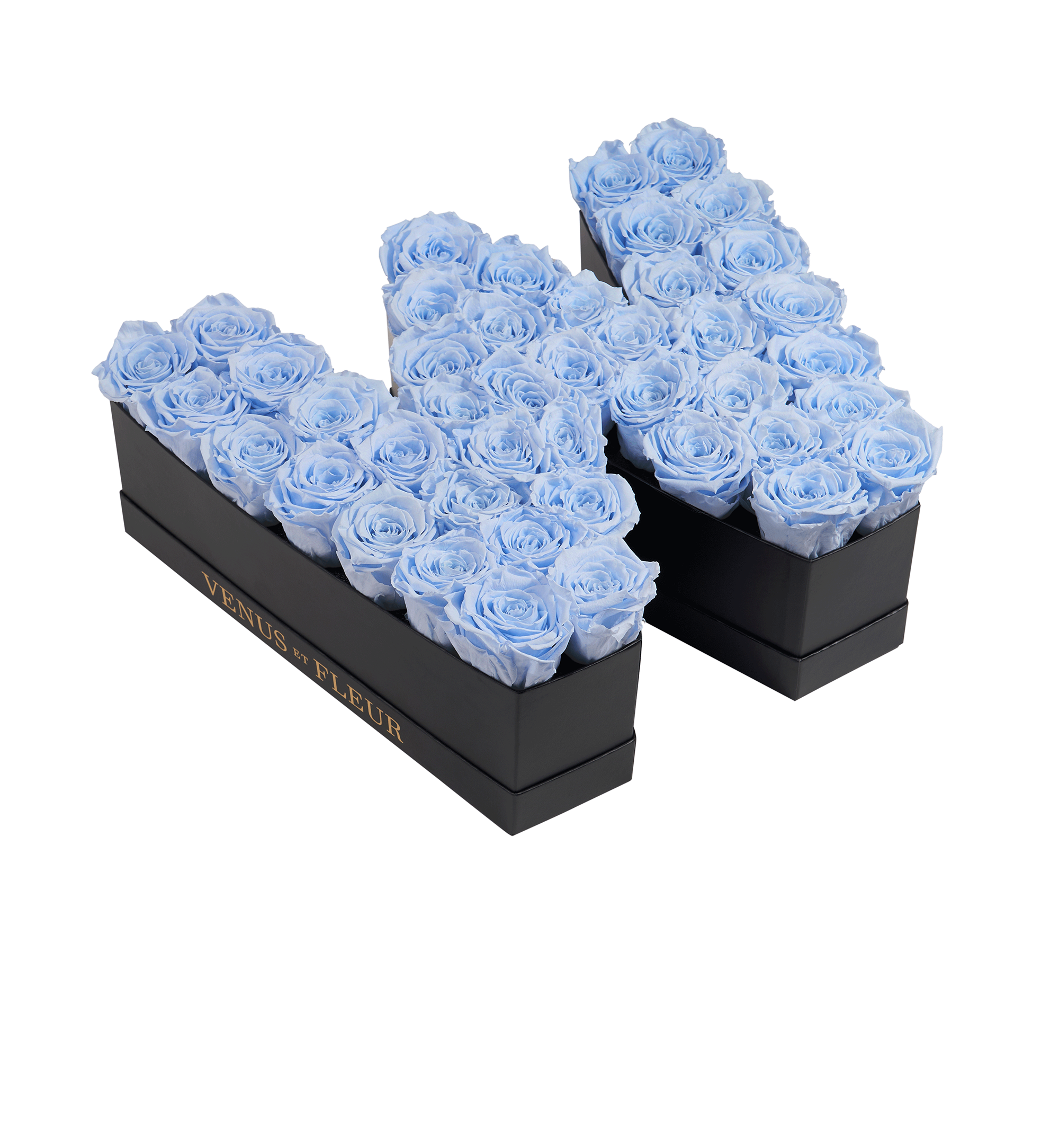 W_babyblue.png