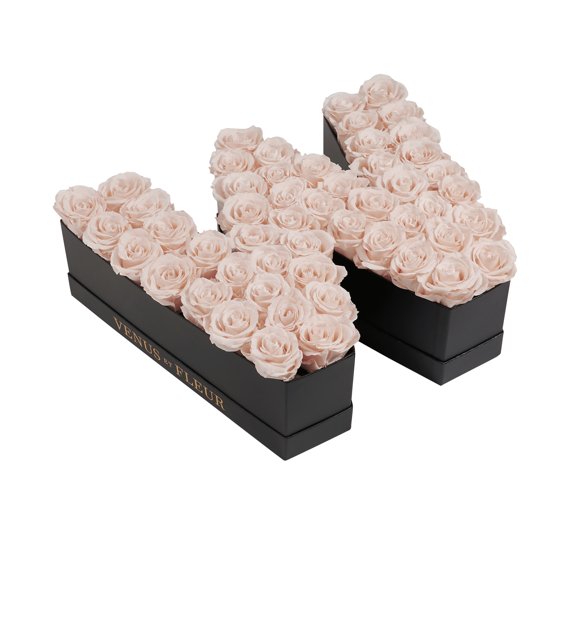 W_blush.png