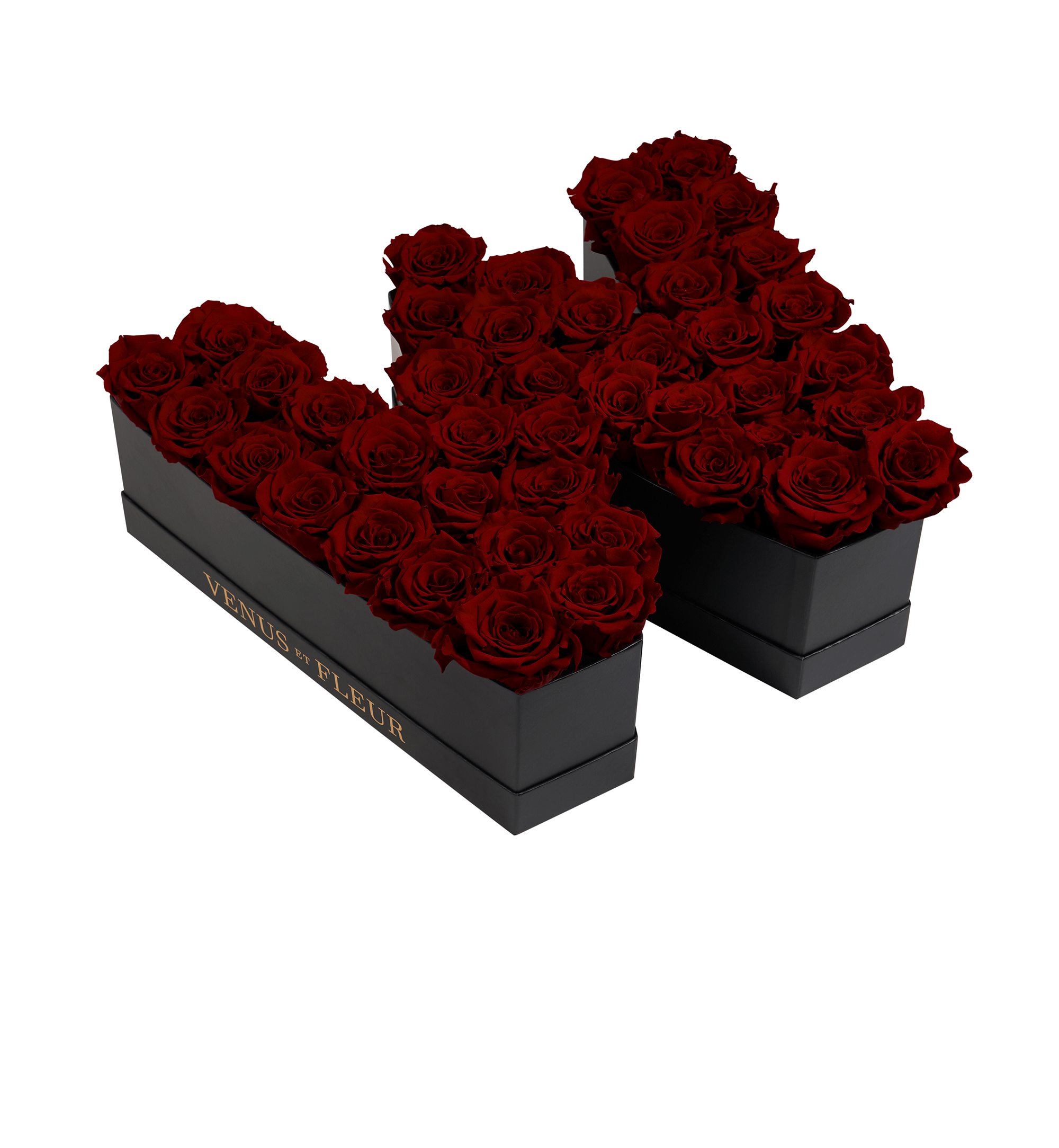 W_burgundy.png