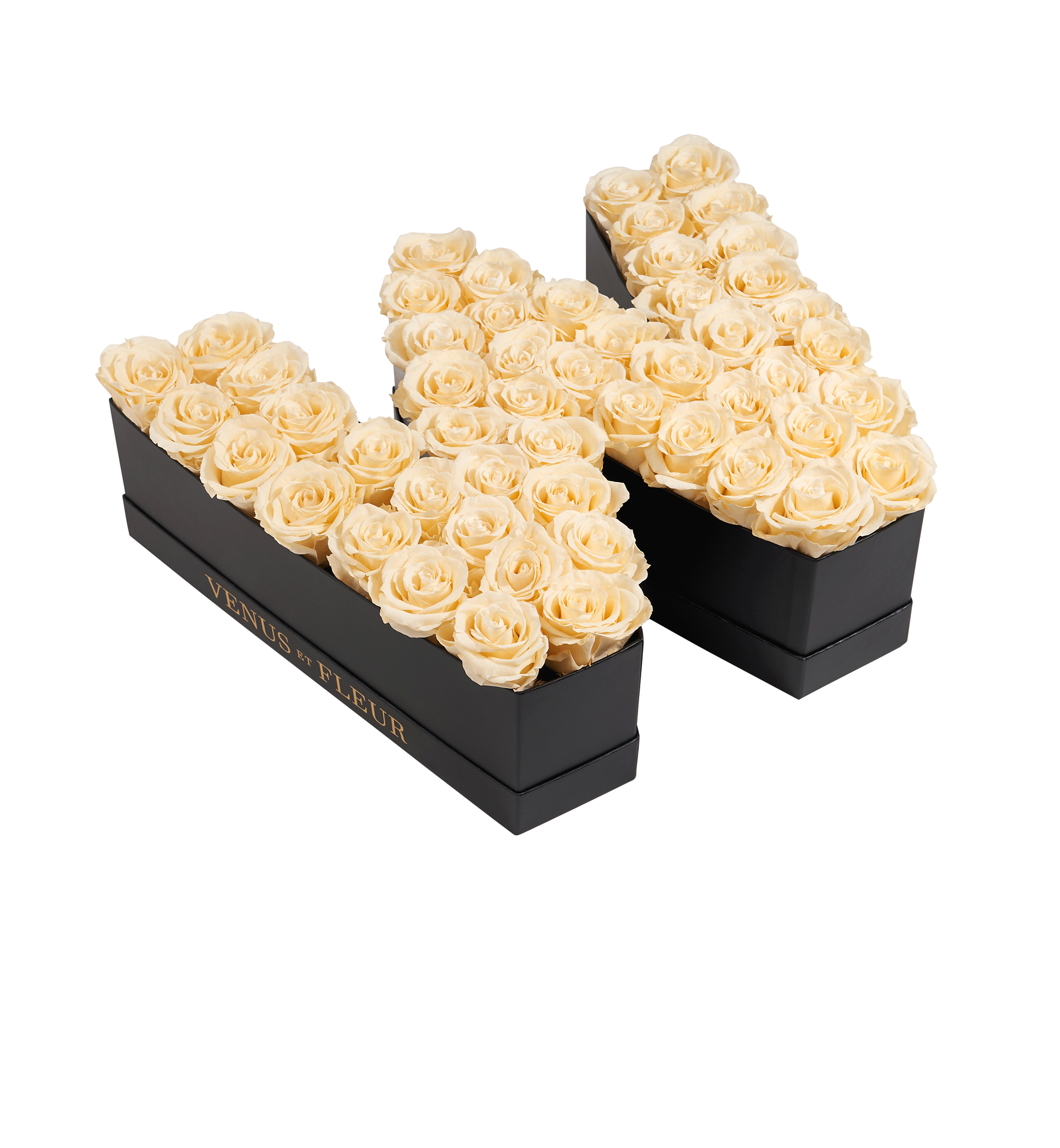W_champagne.png