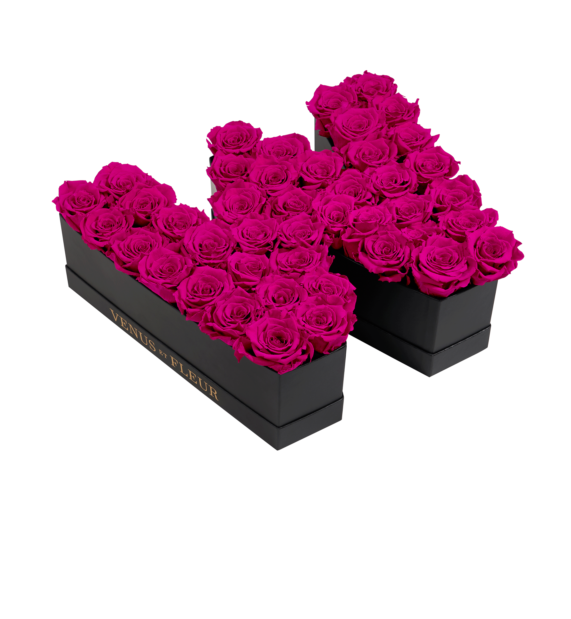 W_hotpink.png