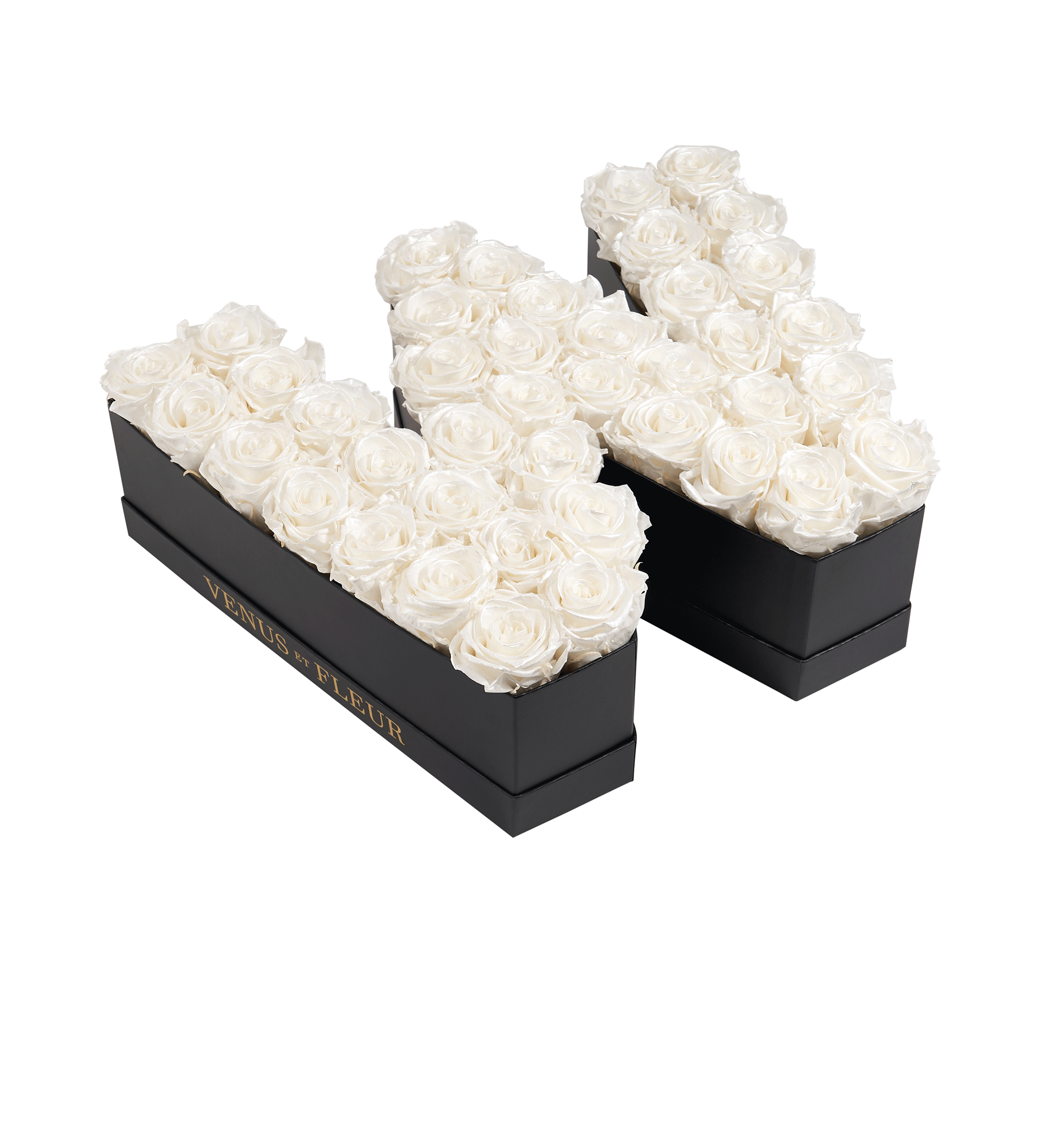 W_pearlS.png