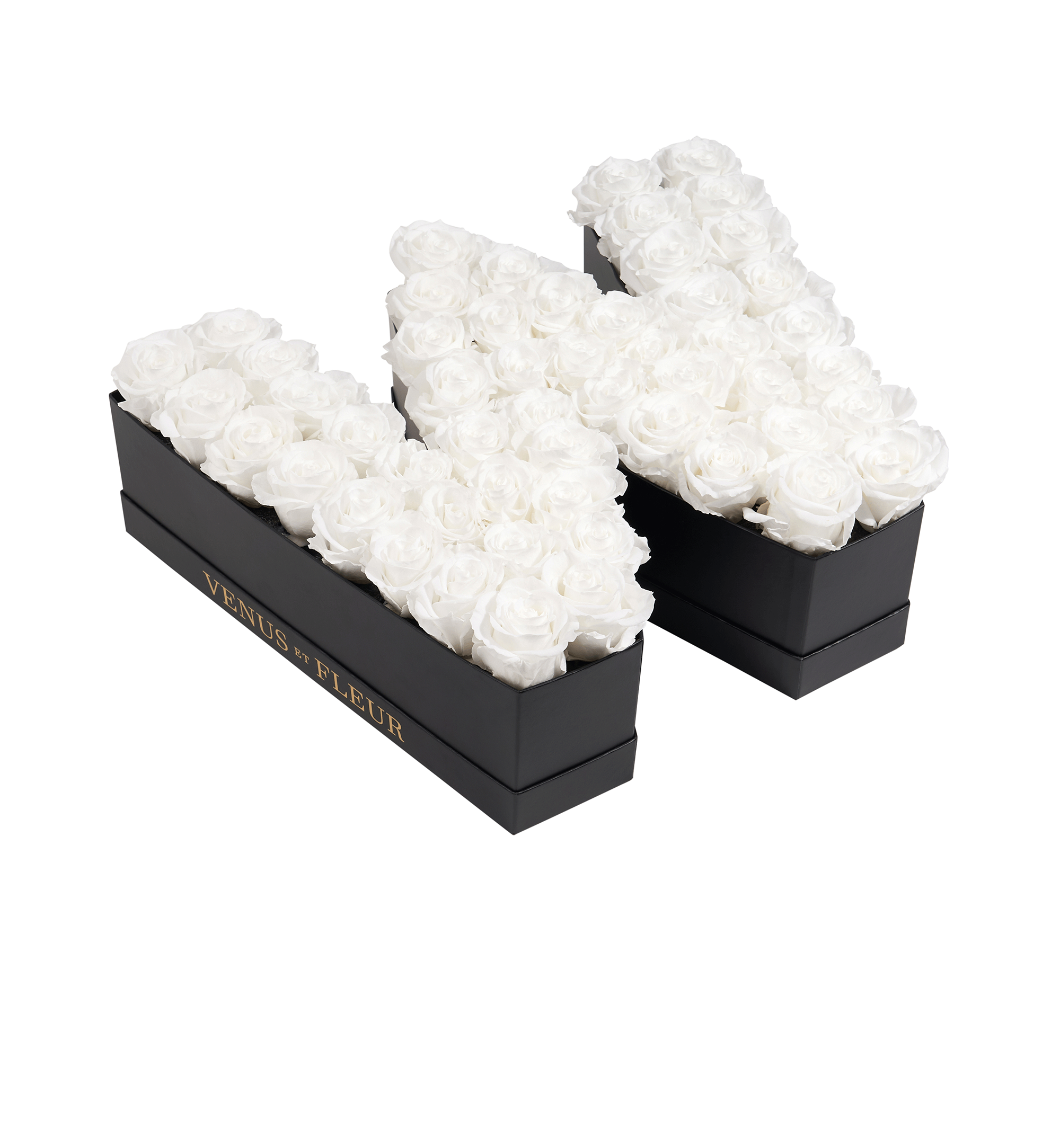 W_purewhite.png