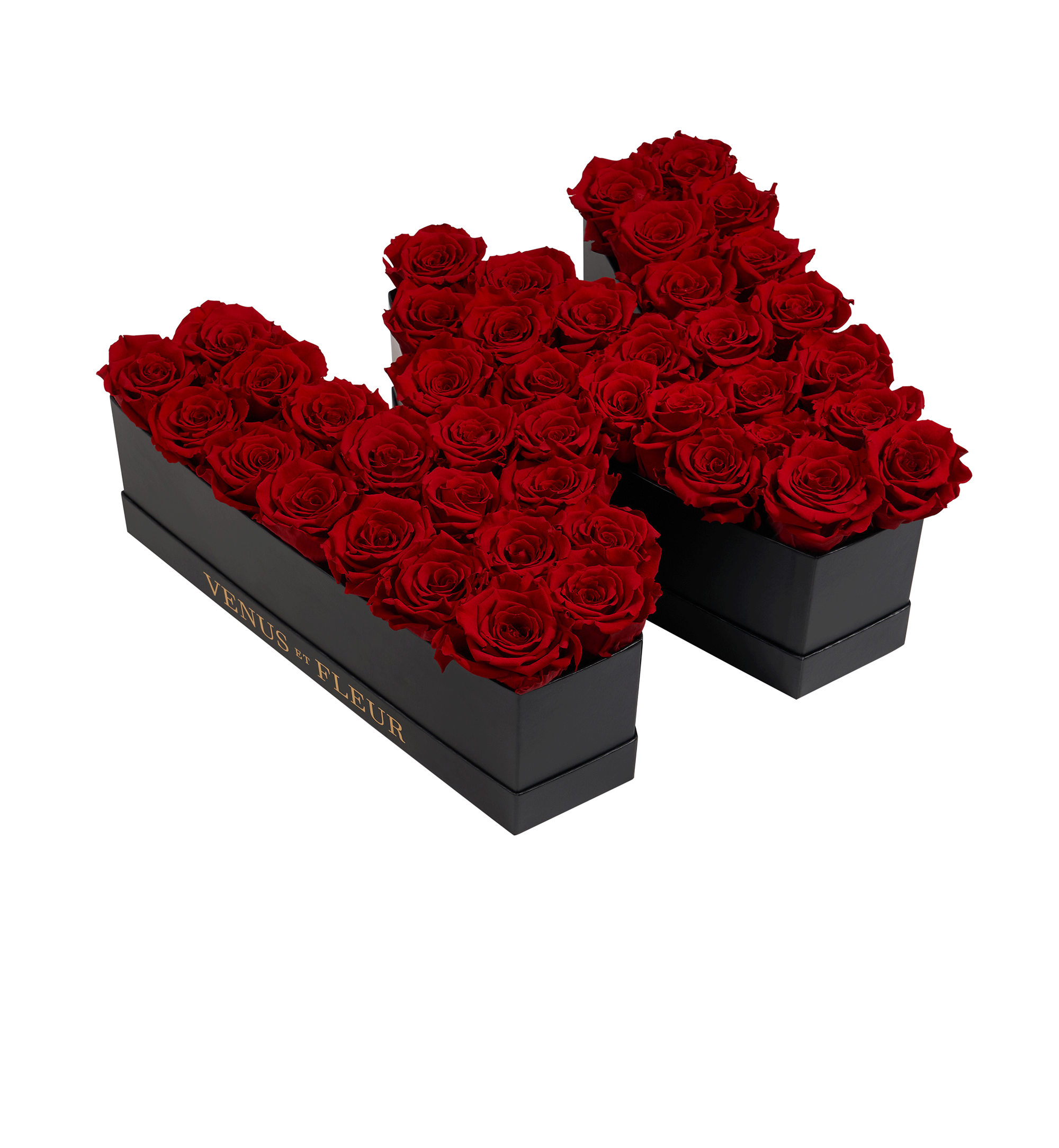 W_red.png
