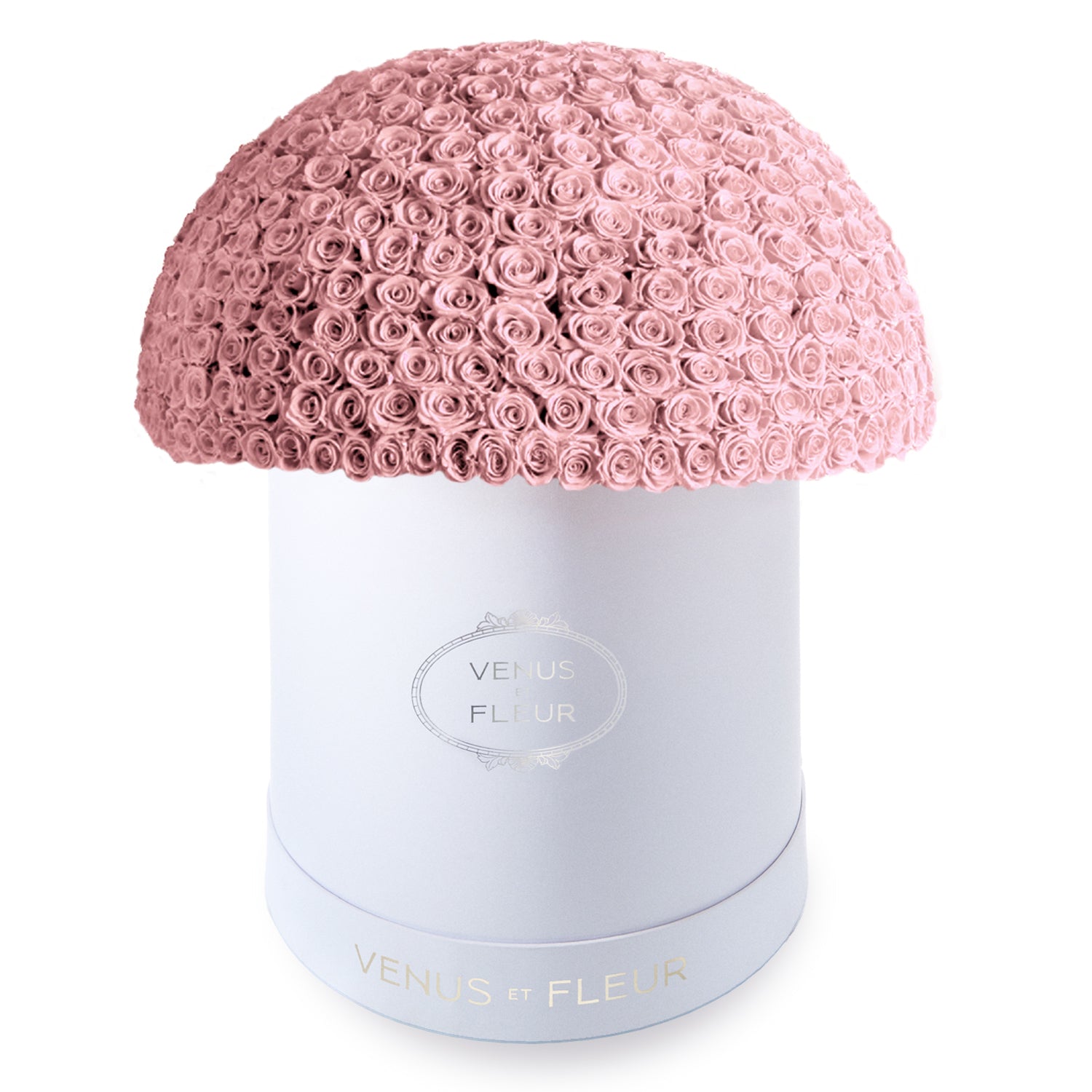 XXL-LE-PLEIN-DUSTY-ROSE-2025_Edit.jpg
