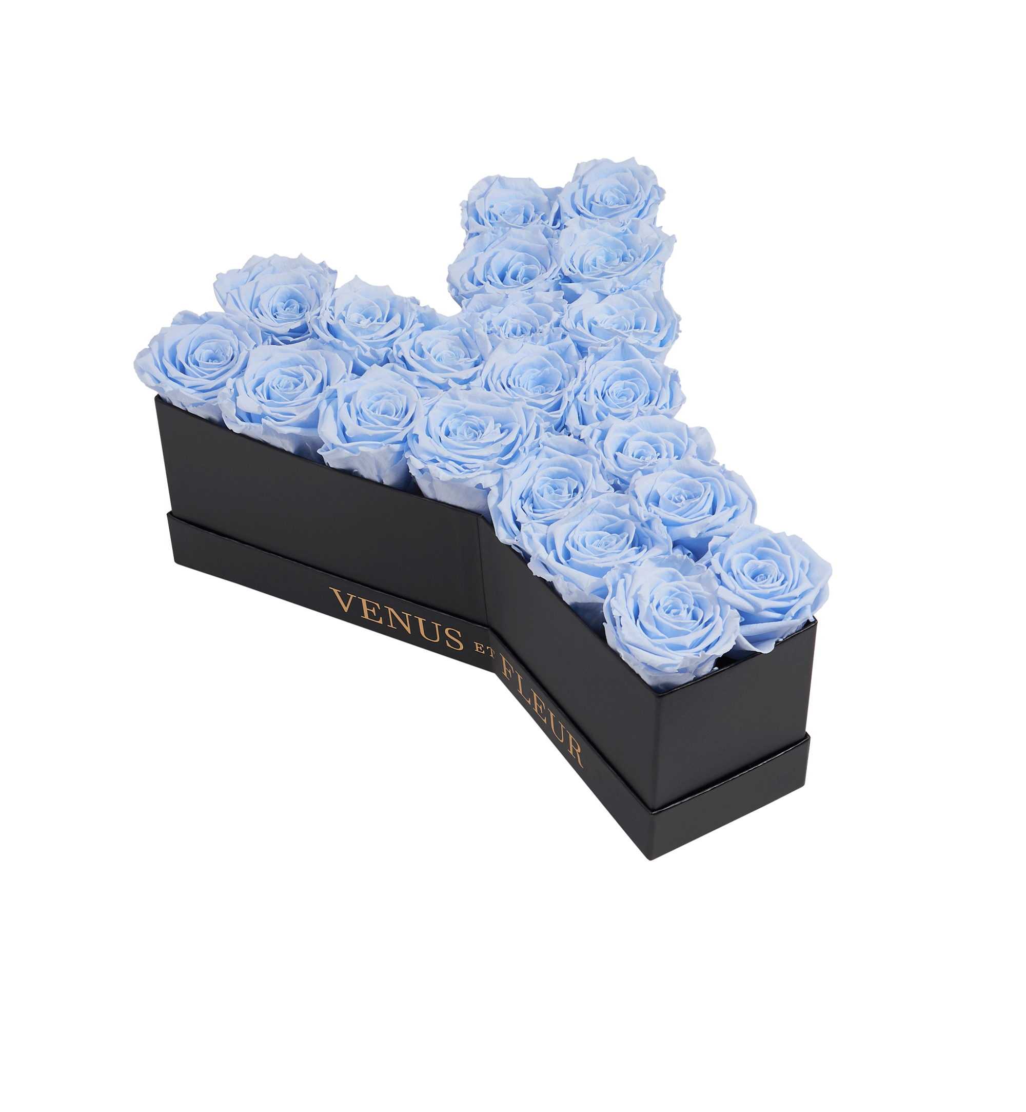 Y_babyblue.png