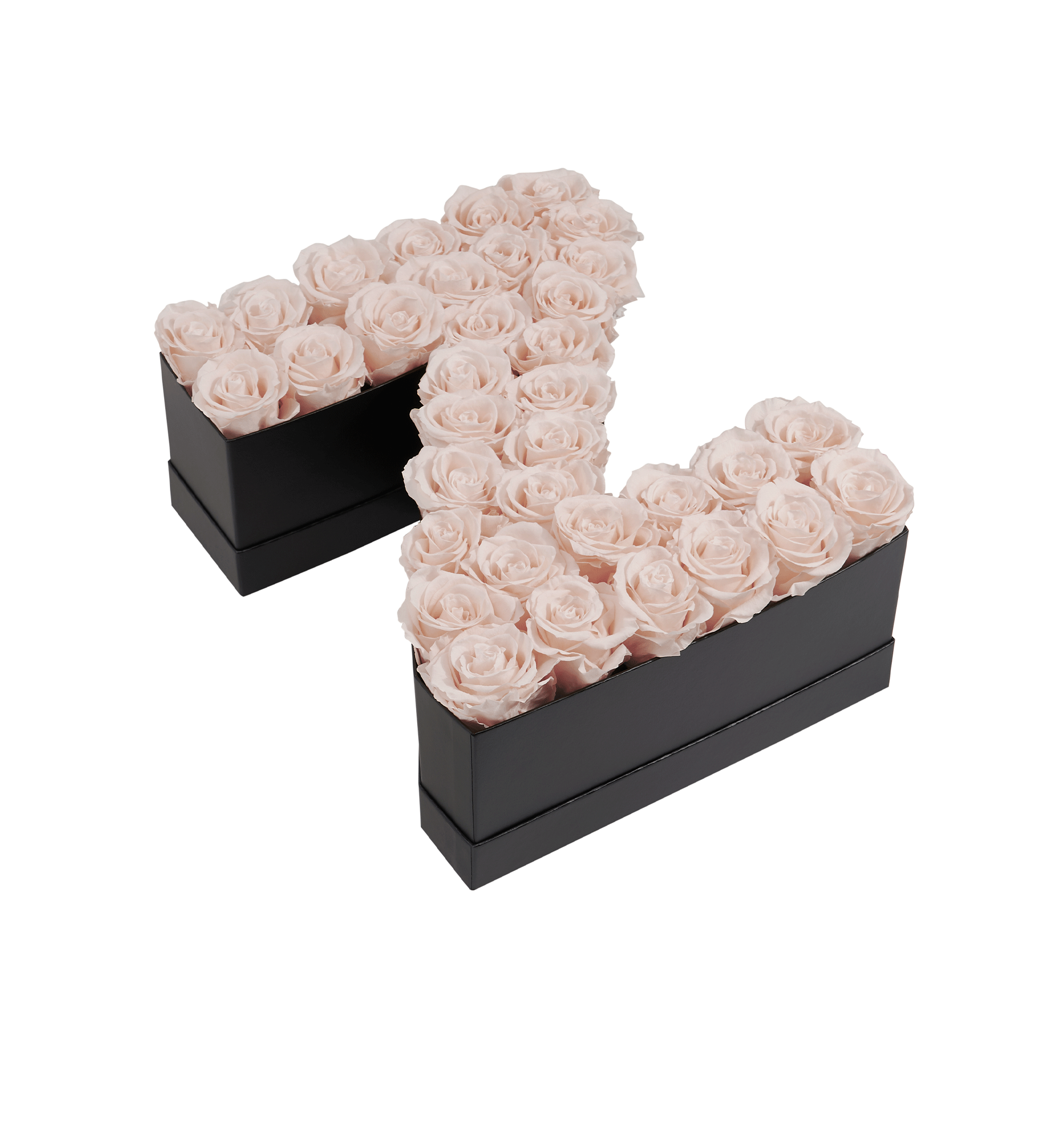 Z_blush.png