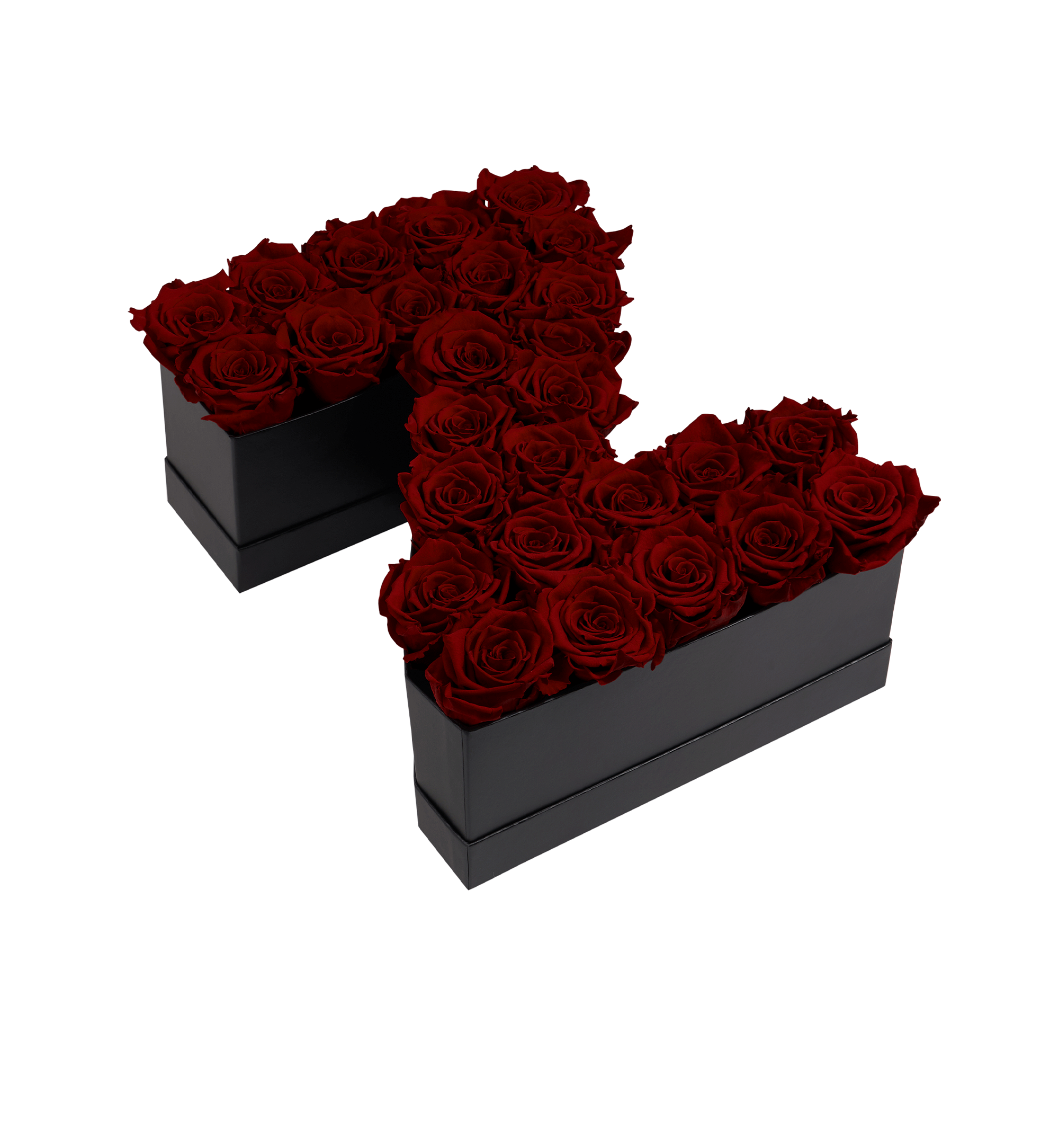 Z_burgundy-1.png