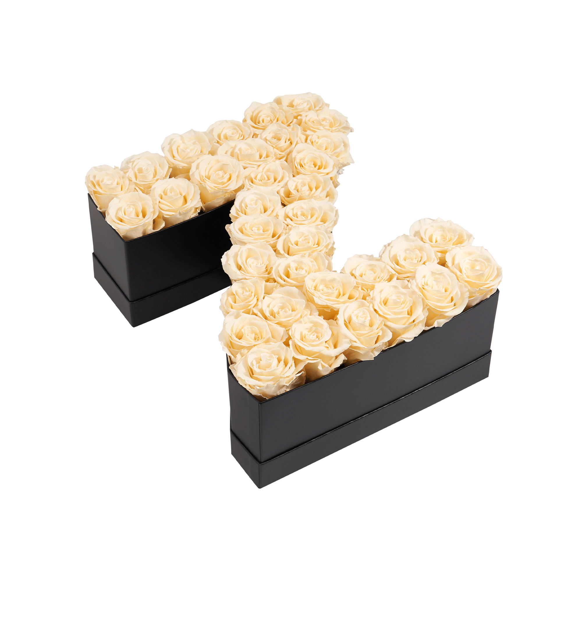 Z_champagne.png