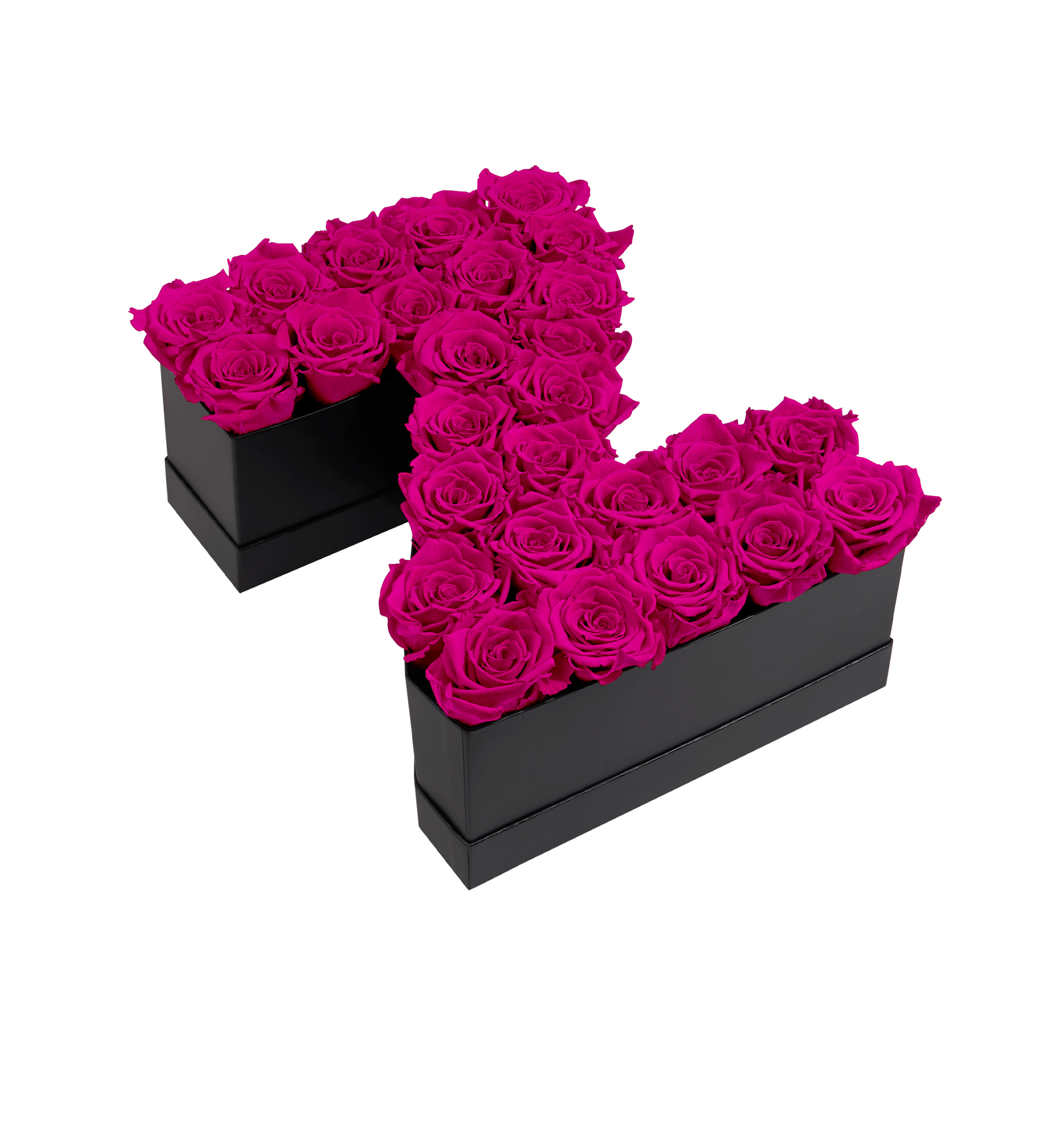 Z_hotpink.png