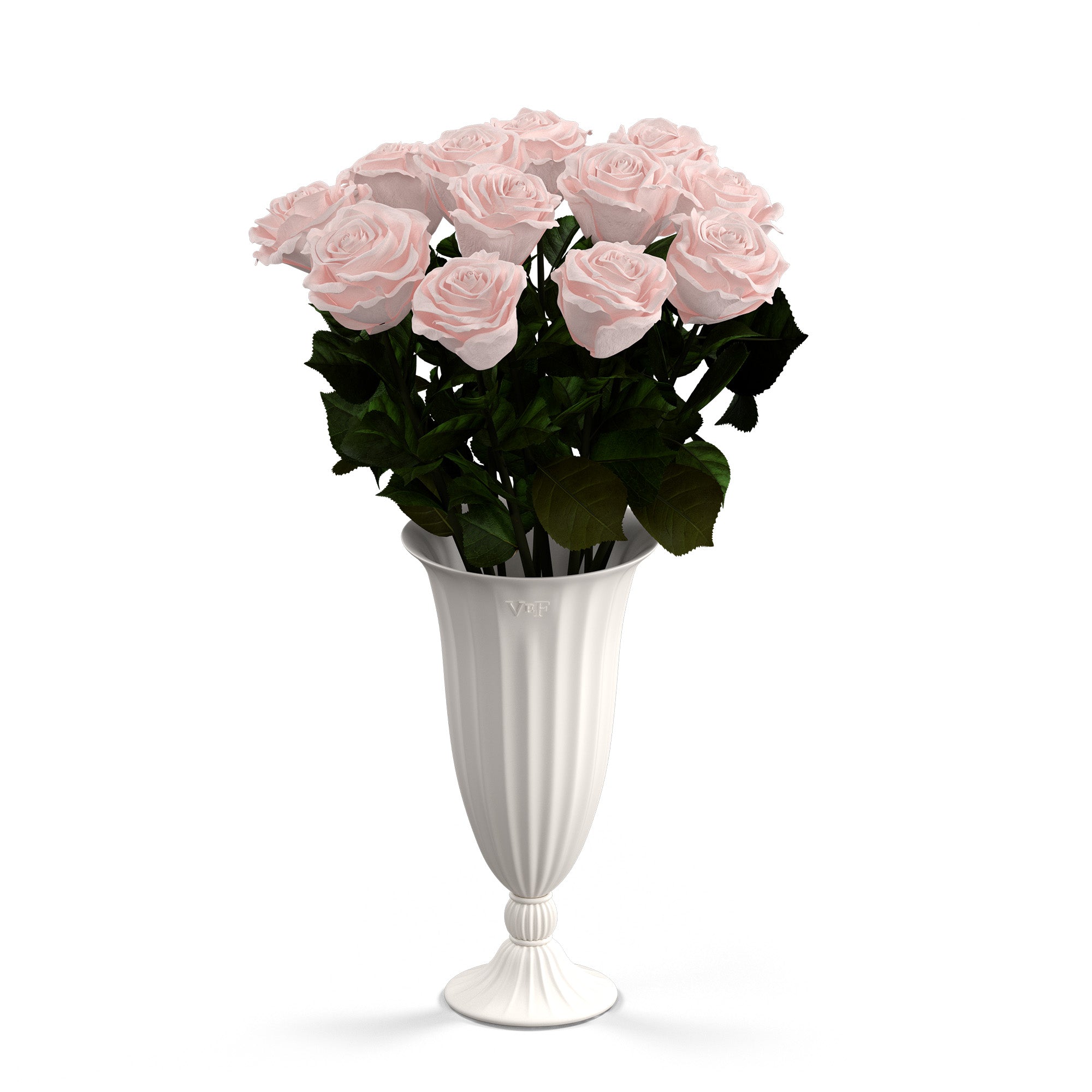 aphrodite-porcelain-roses-blush.jpg