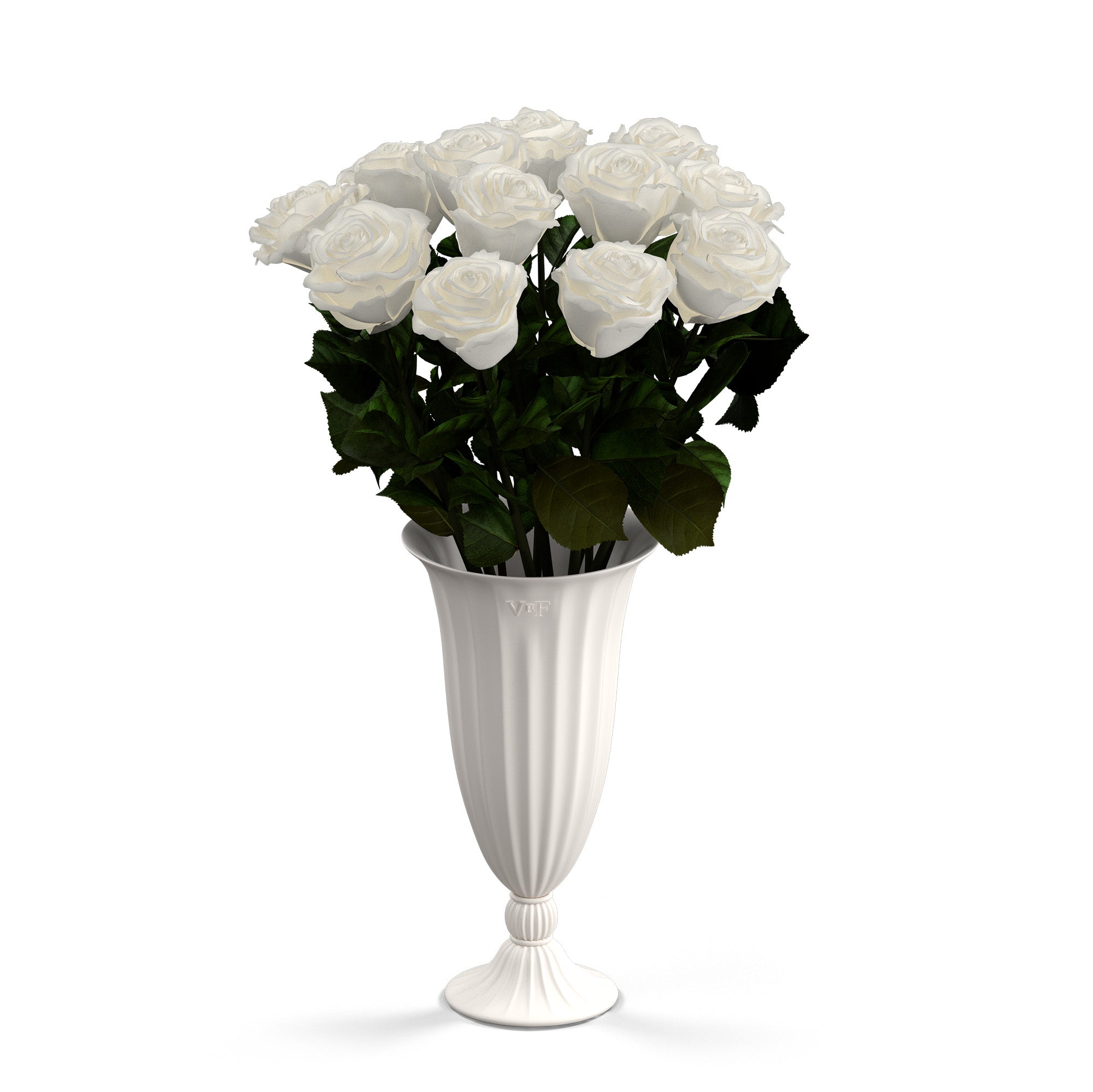 aphrodite-porcelain-roses-purewhite.jpg