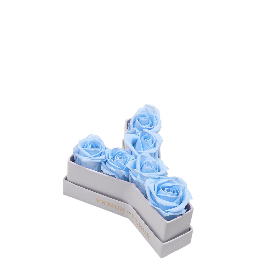 babyblue_992ca525-a54c-49d2-b71e-62f0457a0f55.jpg