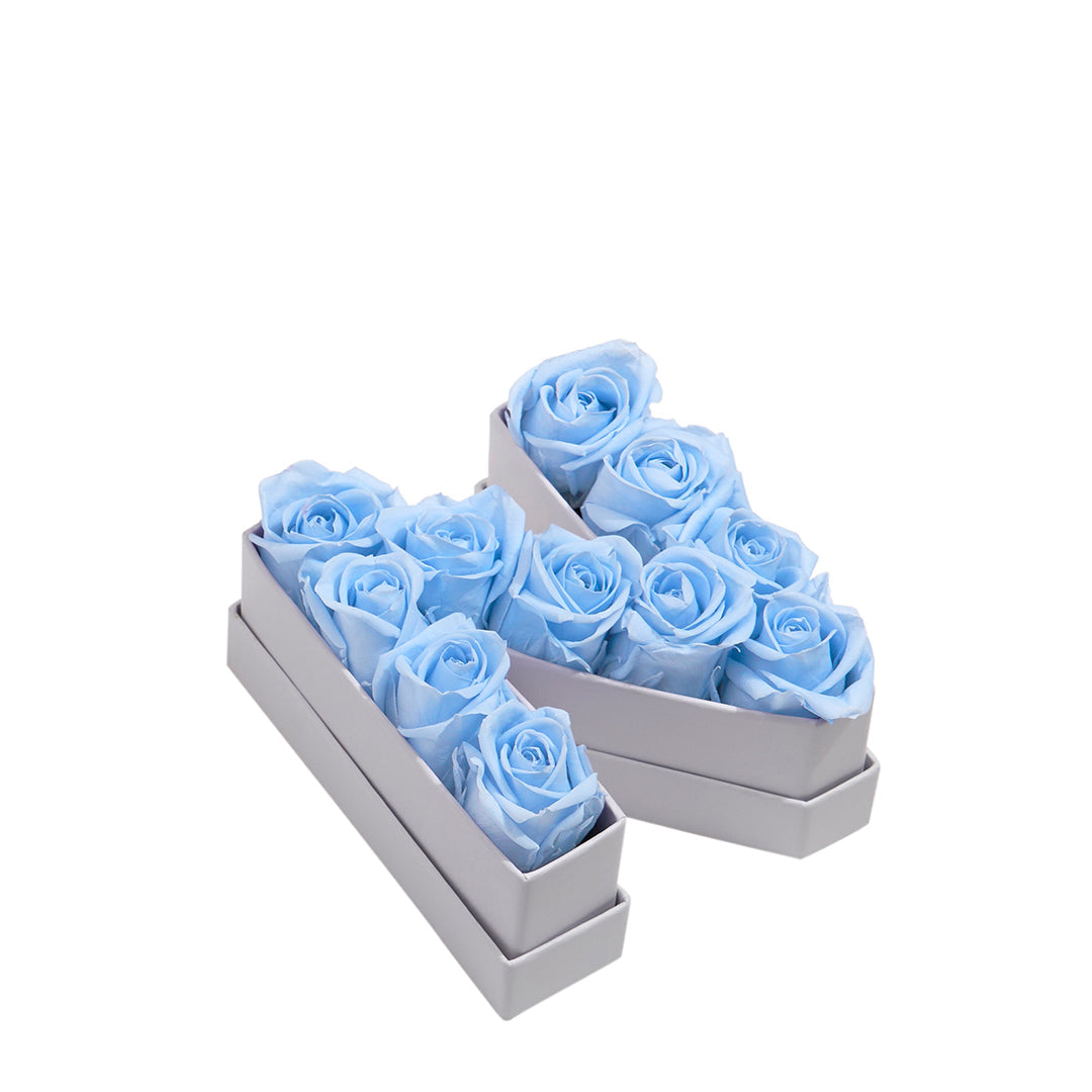 babyblue_a7fb1f1b-8245-4da8-a0dd-3f24c5bbc481.jpg