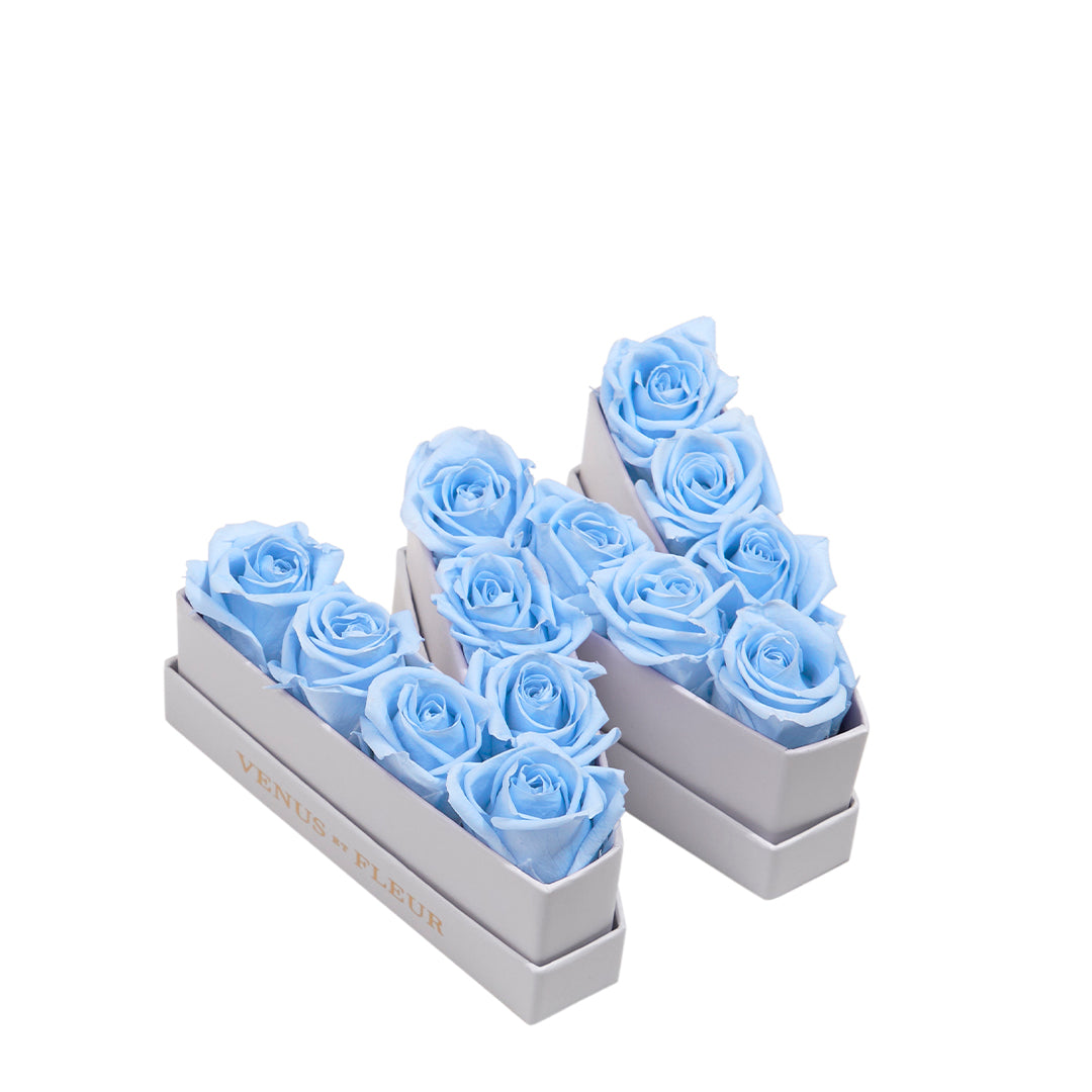 babyblue_ab7666d0-fc49-4810-8974-e2a9085c6af9.jpg