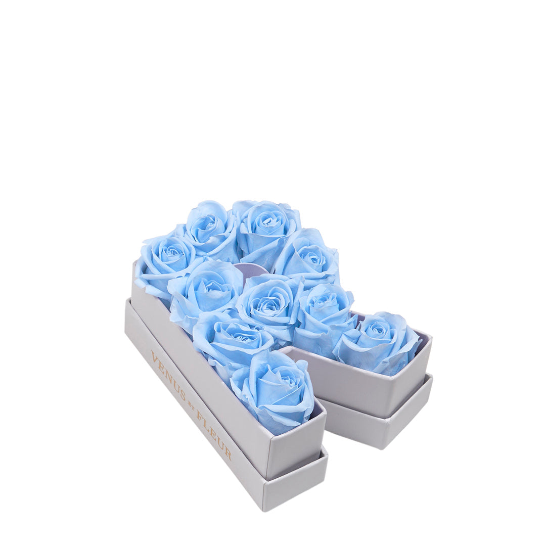 babyblue_d976bf7e-cb04-4cca-ac6c-0bf7c280529d.jpg