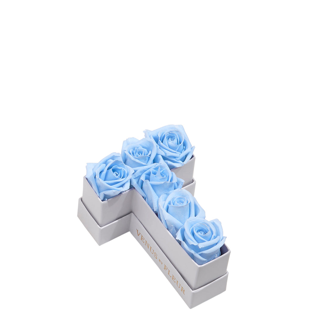babyblue_eafb2ad0-883c-43ae-a787-57484d43cda4.jpg