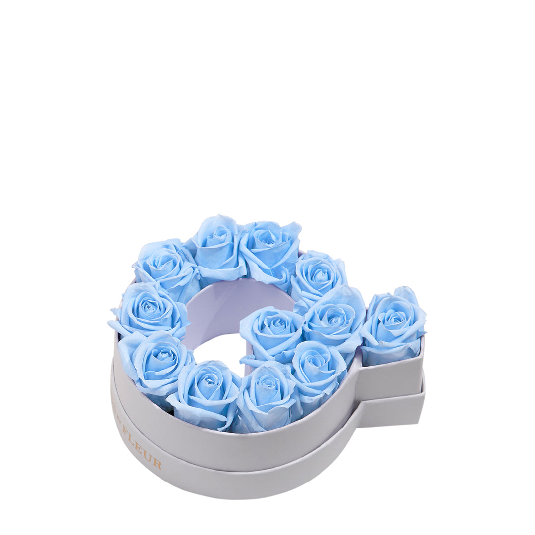babyblue_f856d3d1-181d-46bf-be03-53937aef3cd7.jpg