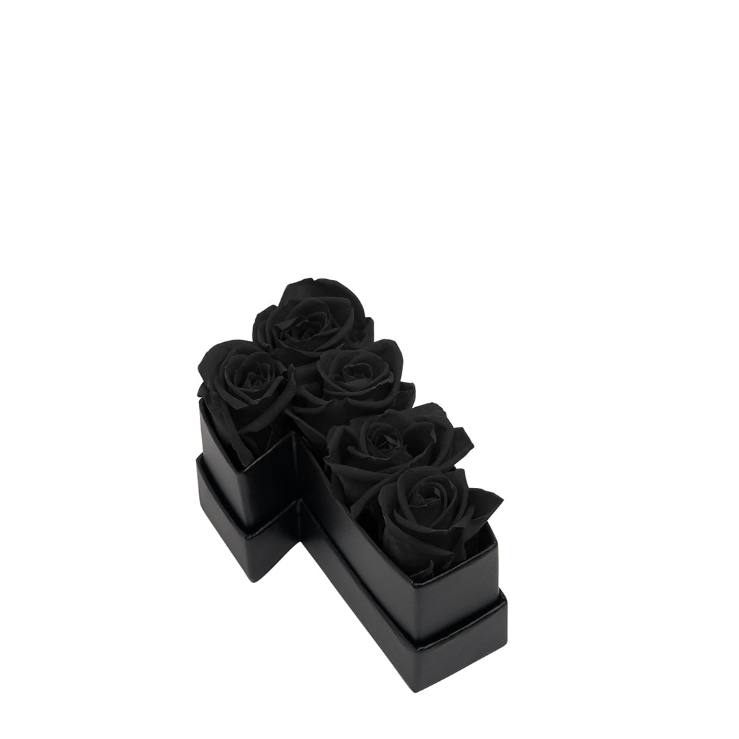 black_05b57994-9bc6-4739-9789-5c22ca79bcf7.jpg