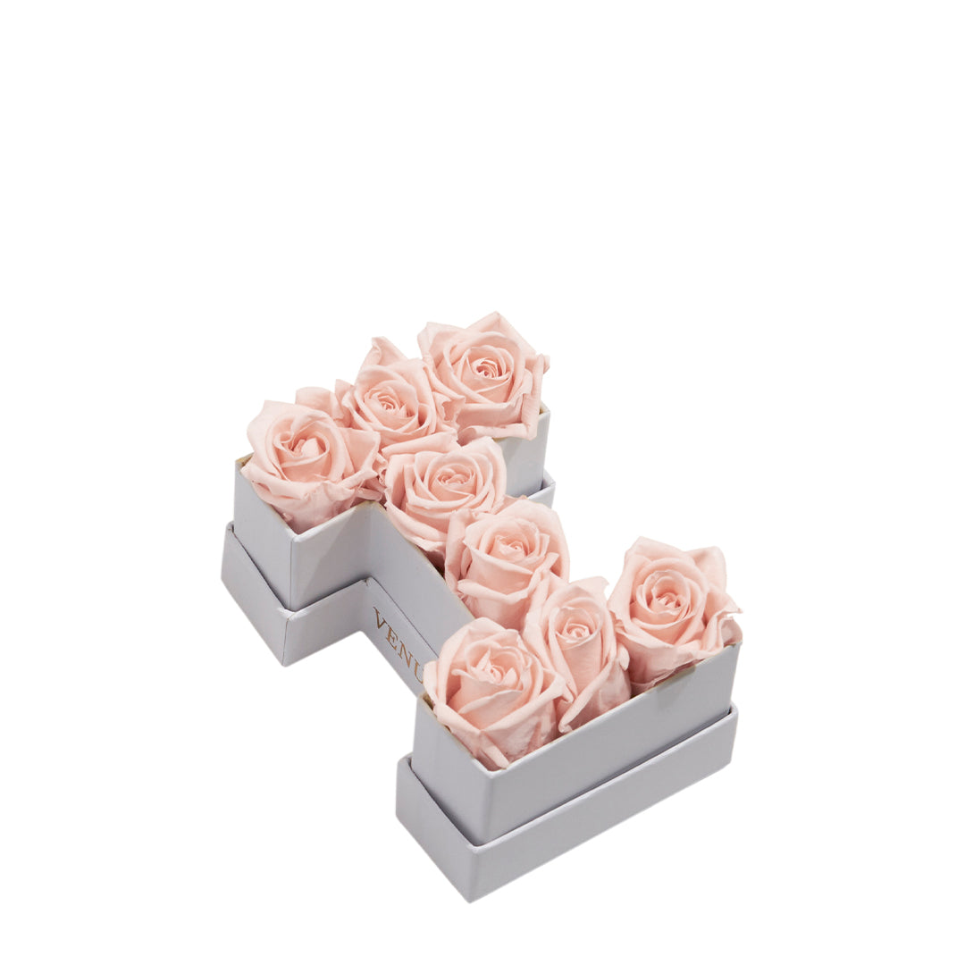 blush_18604b7a-de81-468b-a956-93ad85bab89a.jpg