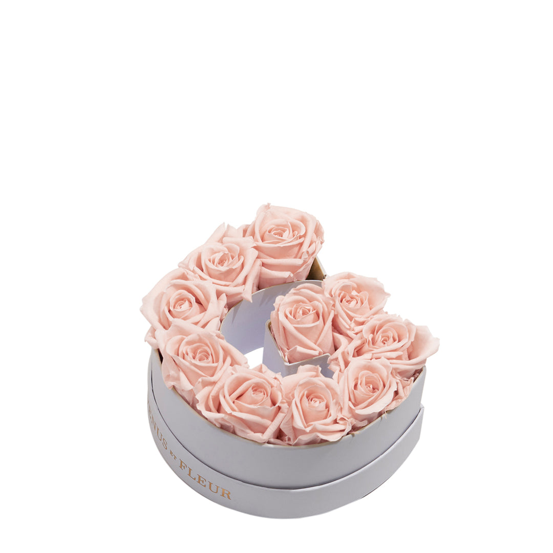 blush_1f08c13e-0a58-4814-9f49-1d33a8ffa588.jpg
