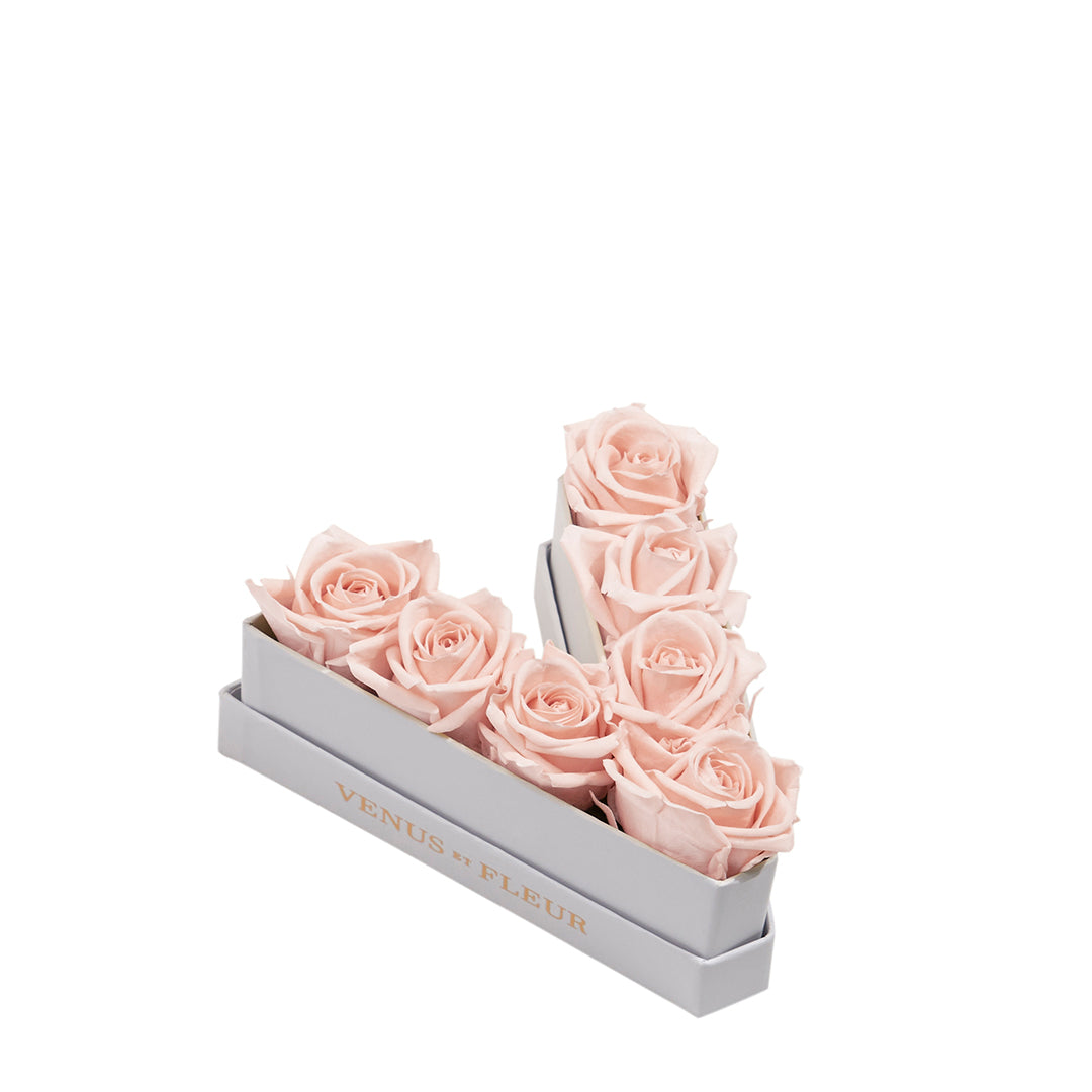 blush_5be9a336-4e80-40fb-9cc9-ef91c5f17f3f.jpg