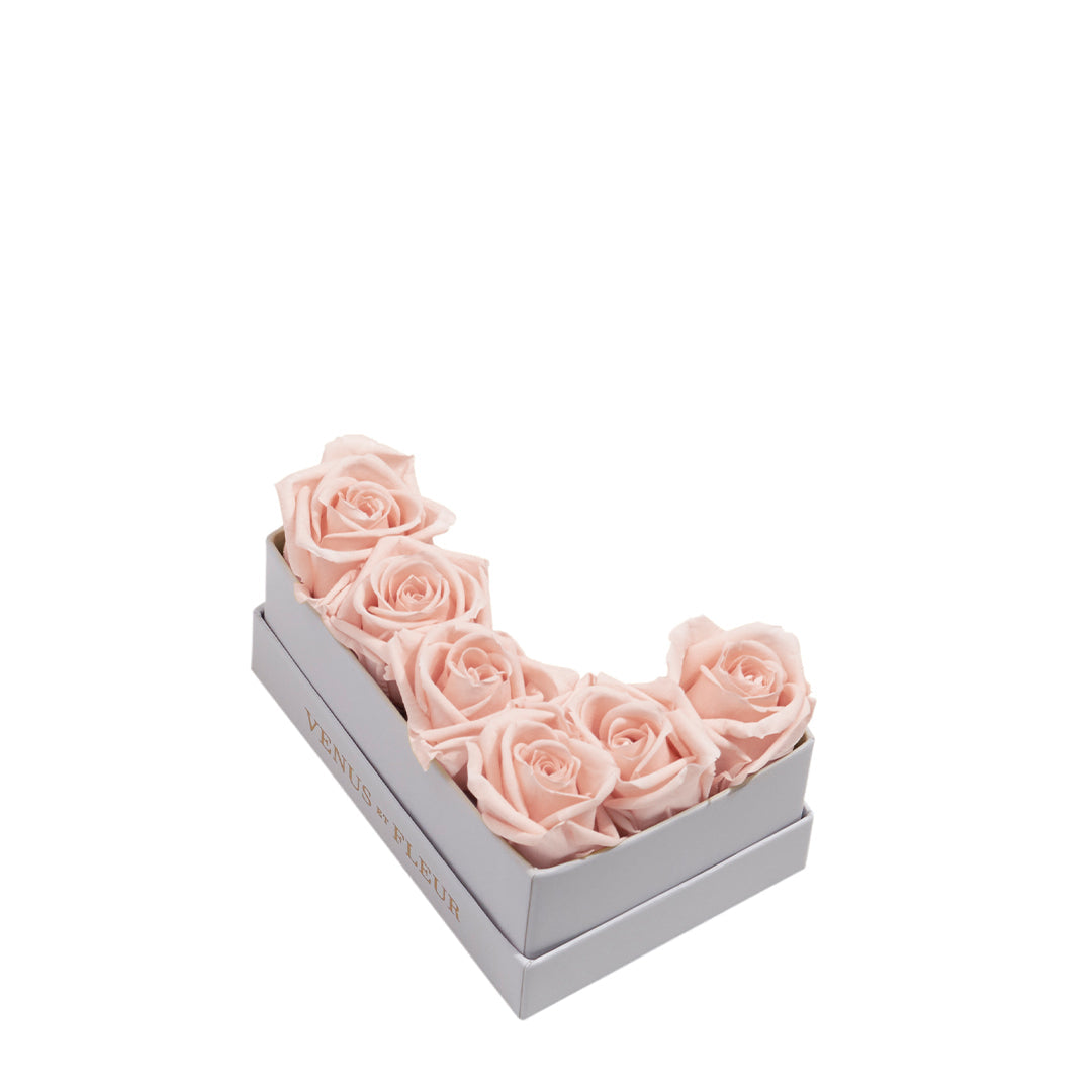 blush_65aeb2ca-b8fc-43ad-8d4d-152bd8b5cc4b.jpg