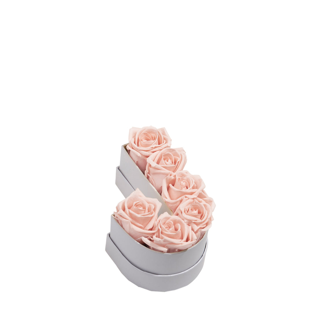 blush_86f82b35-6623-4390-889c-14a585cc9e8a.jpg