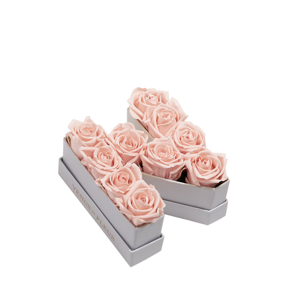 blush_c8570b72-db65-43b1-b920-03902c2240e6.jpg