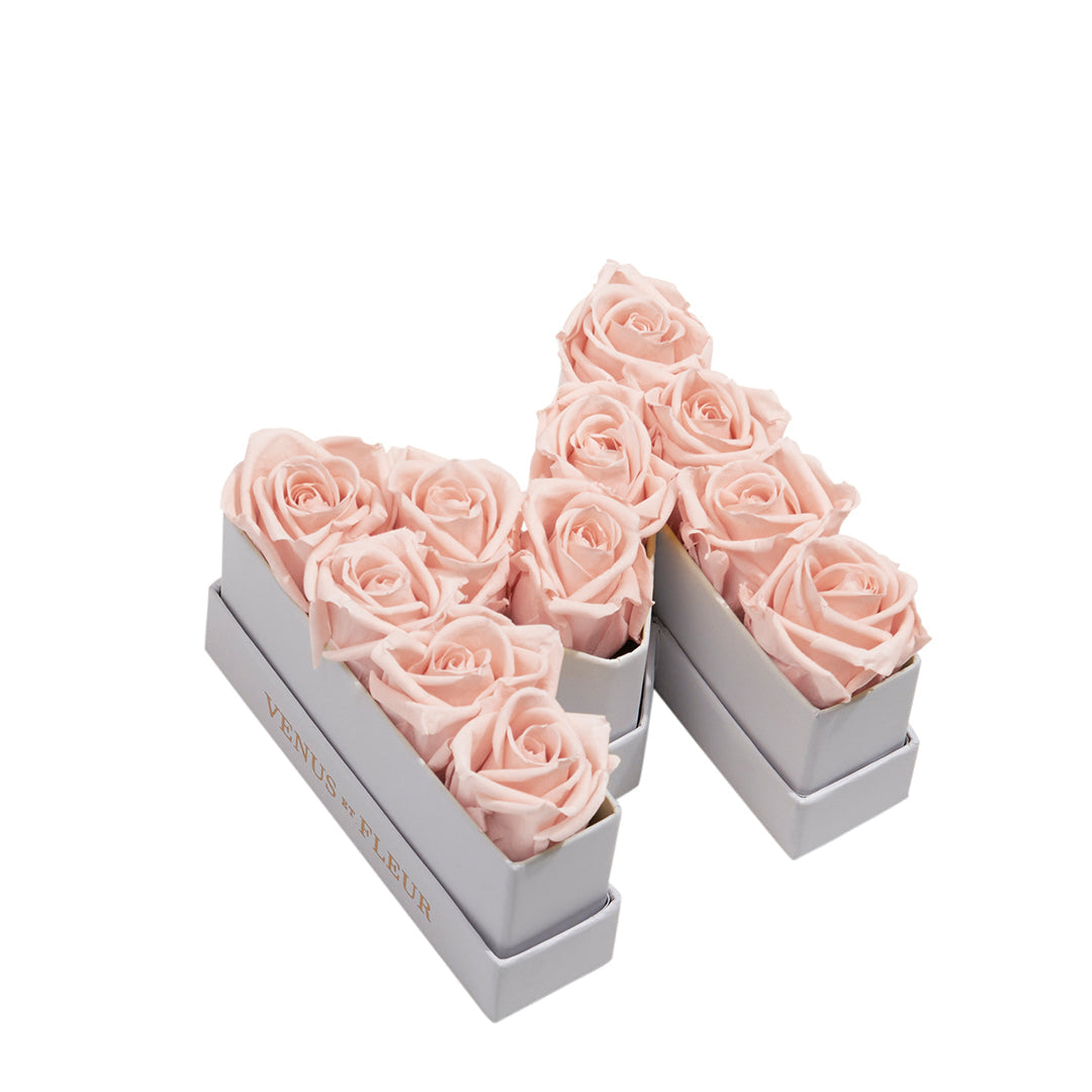 blush_eaae8558-aa32-430d-84c4-8e3d61f5ee6d.jpg