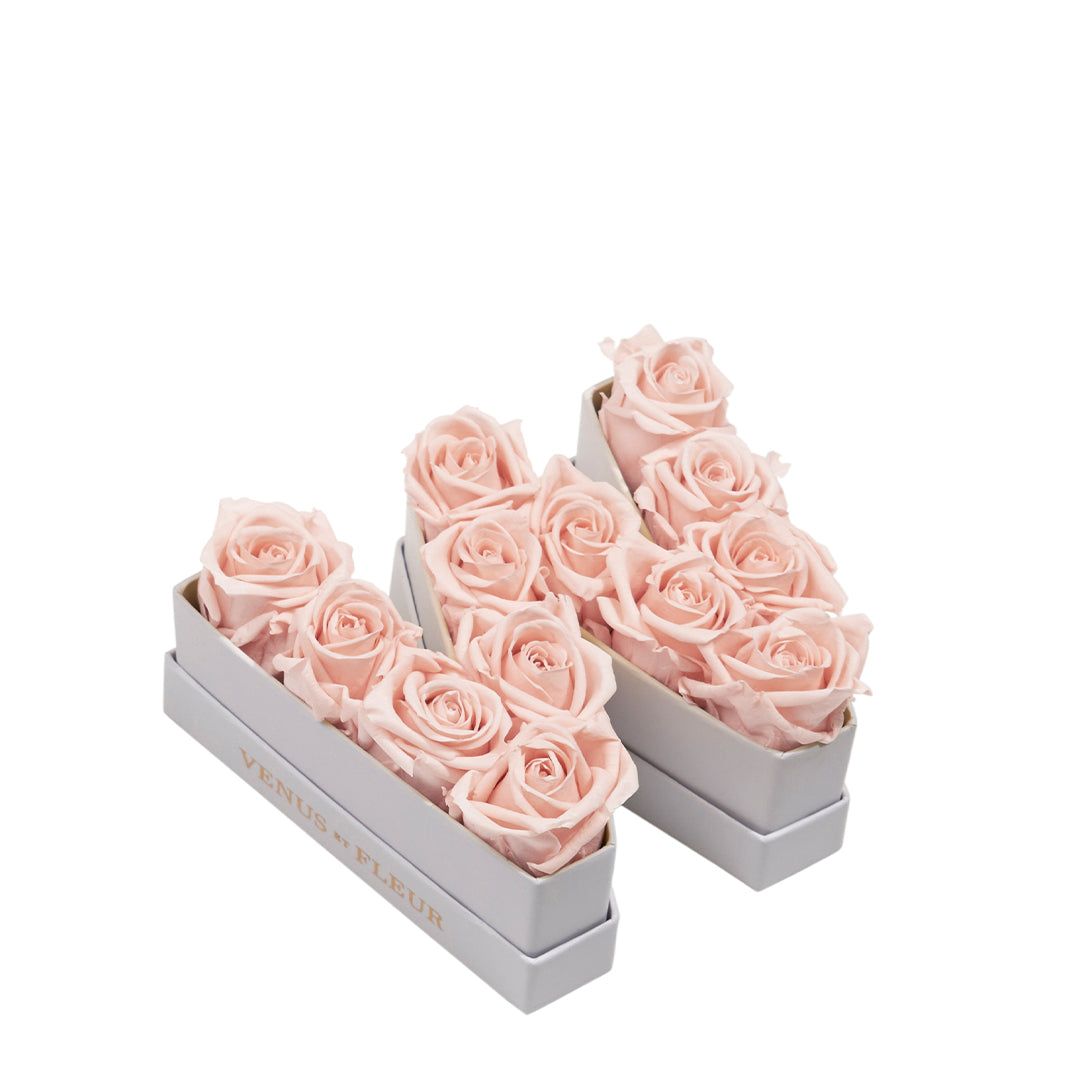 blush_f1d26694-82bd-4d36-a036-5602daa2ae03.jpg
