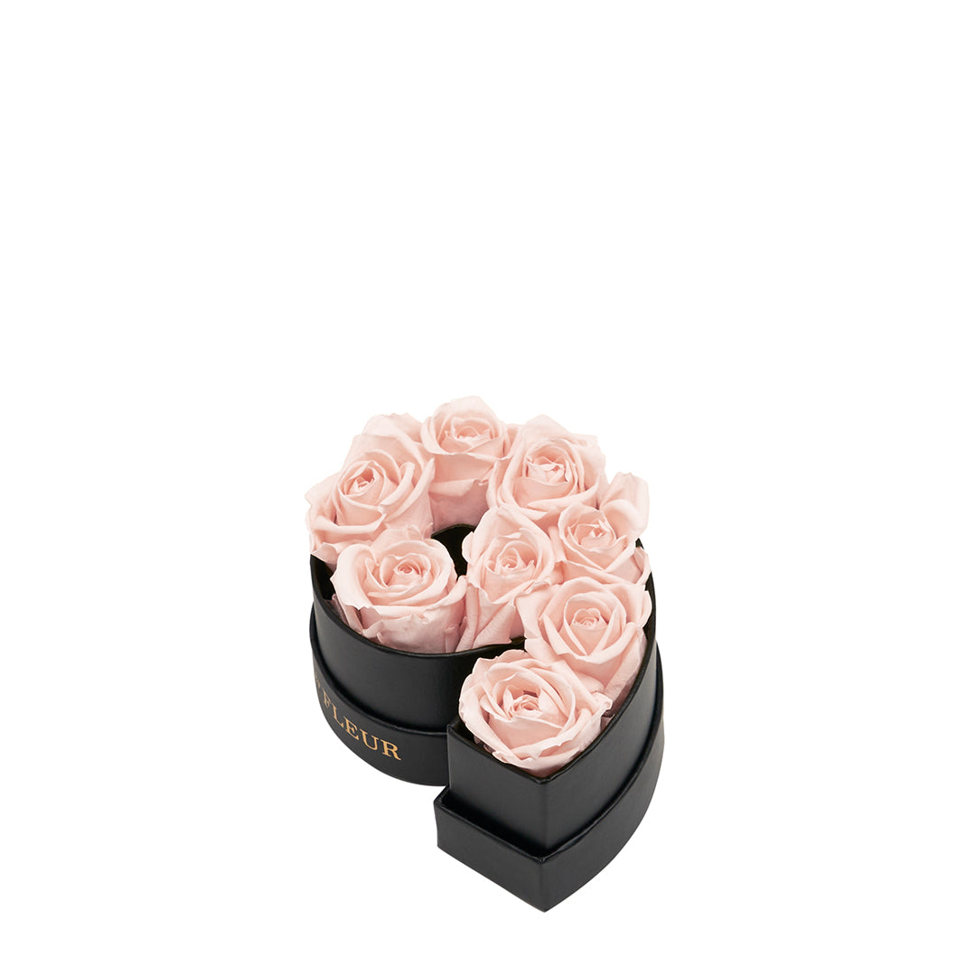 blush_f6f06a91-ba01-4f79-9ce9-33046e799ee9.jpg