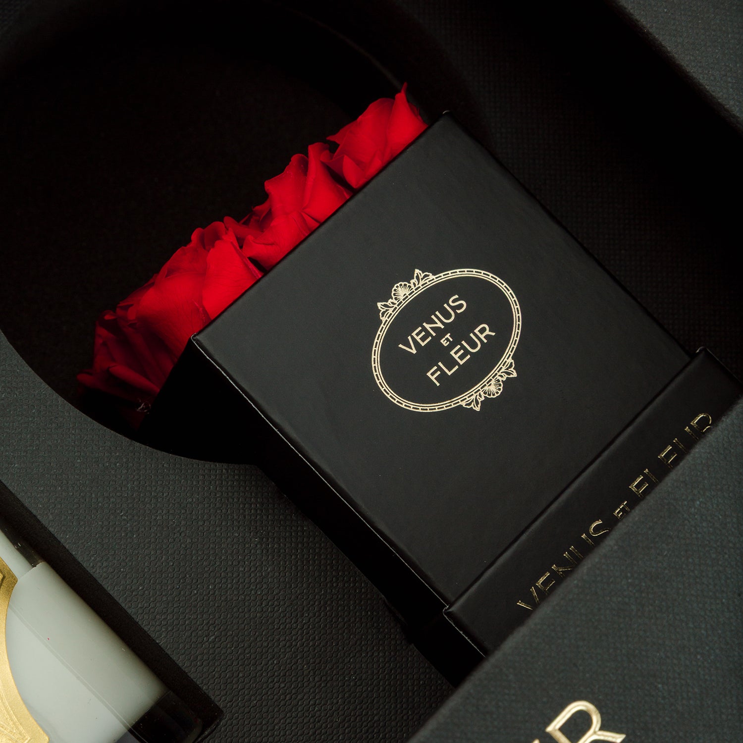 bundle-blk-life2.jpg