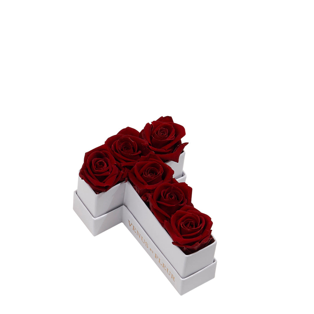 burgundy_0f448ec1-7097-4616-b00a-2e1377a7b569.jpg
