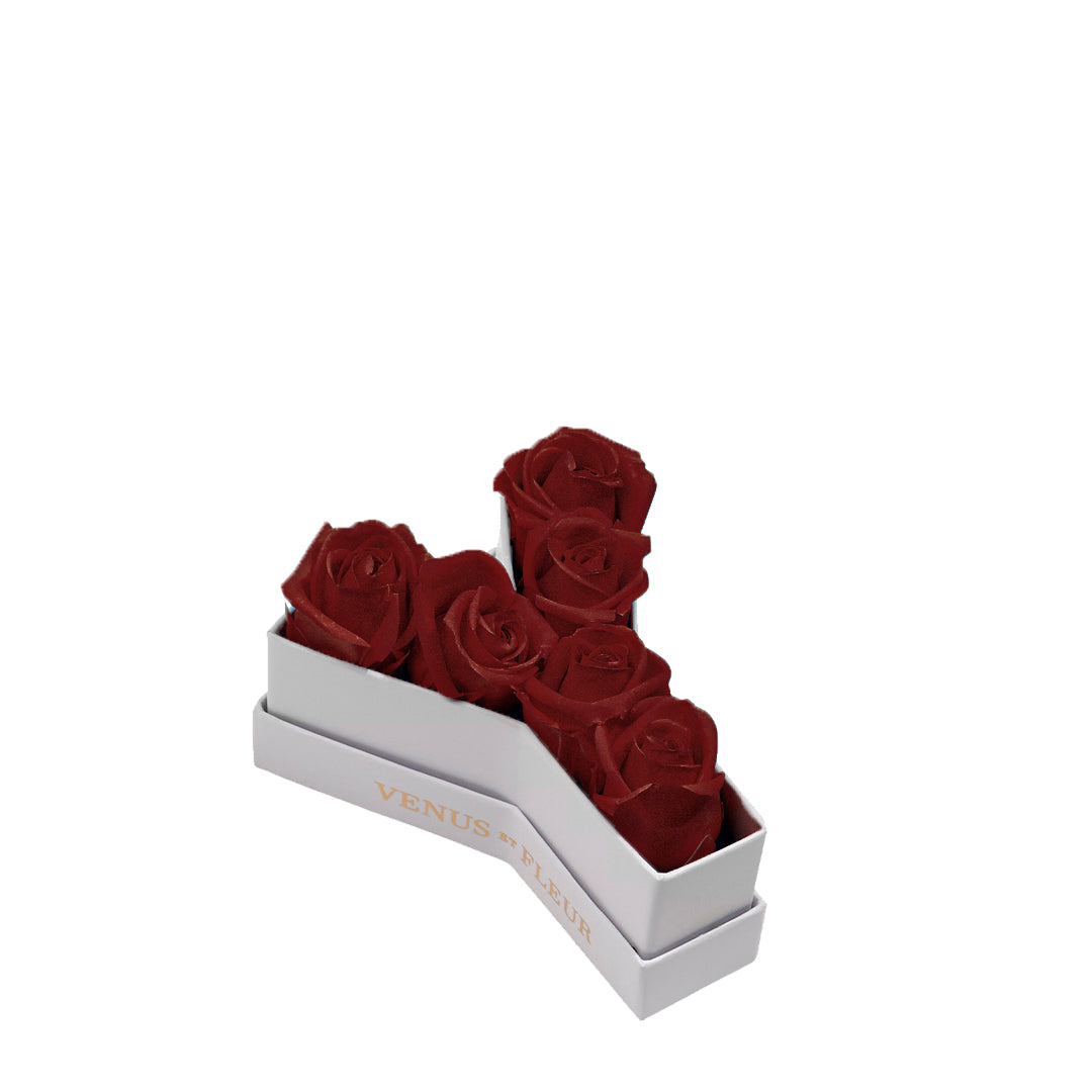 burgundy_1875bd00-b5d3-4589-b56d-37307617e96d.jpg