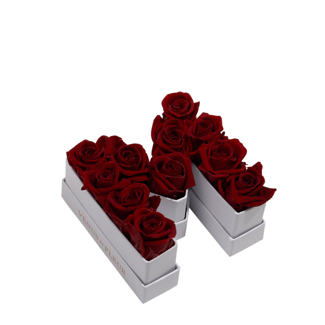 burgundy_30bb32f6-4cce-43e3-924d-1bf1a3f64ab7.jpg