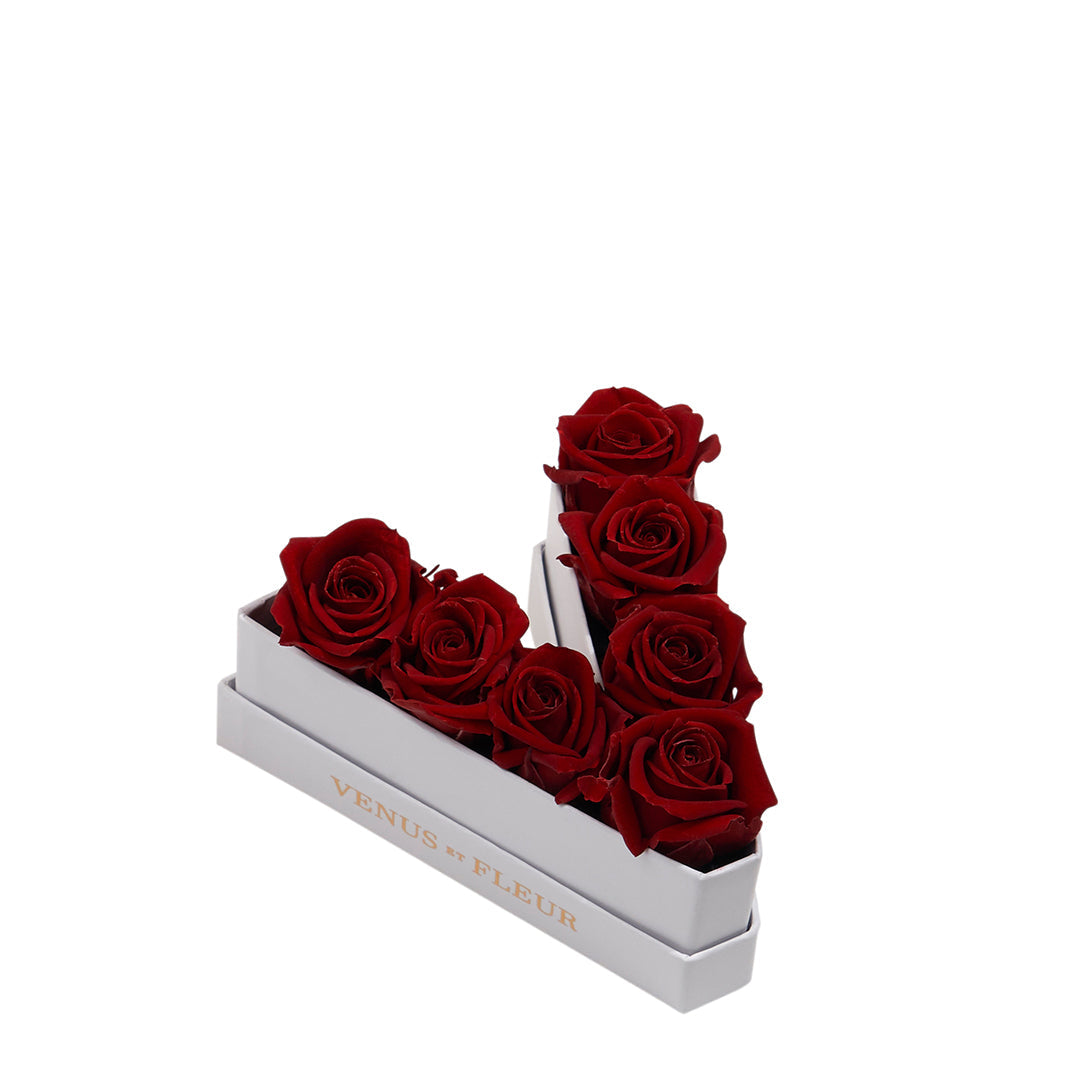 burgundy_31b335f6-011e-407e-9d8d-b8db02694e5d.jpg