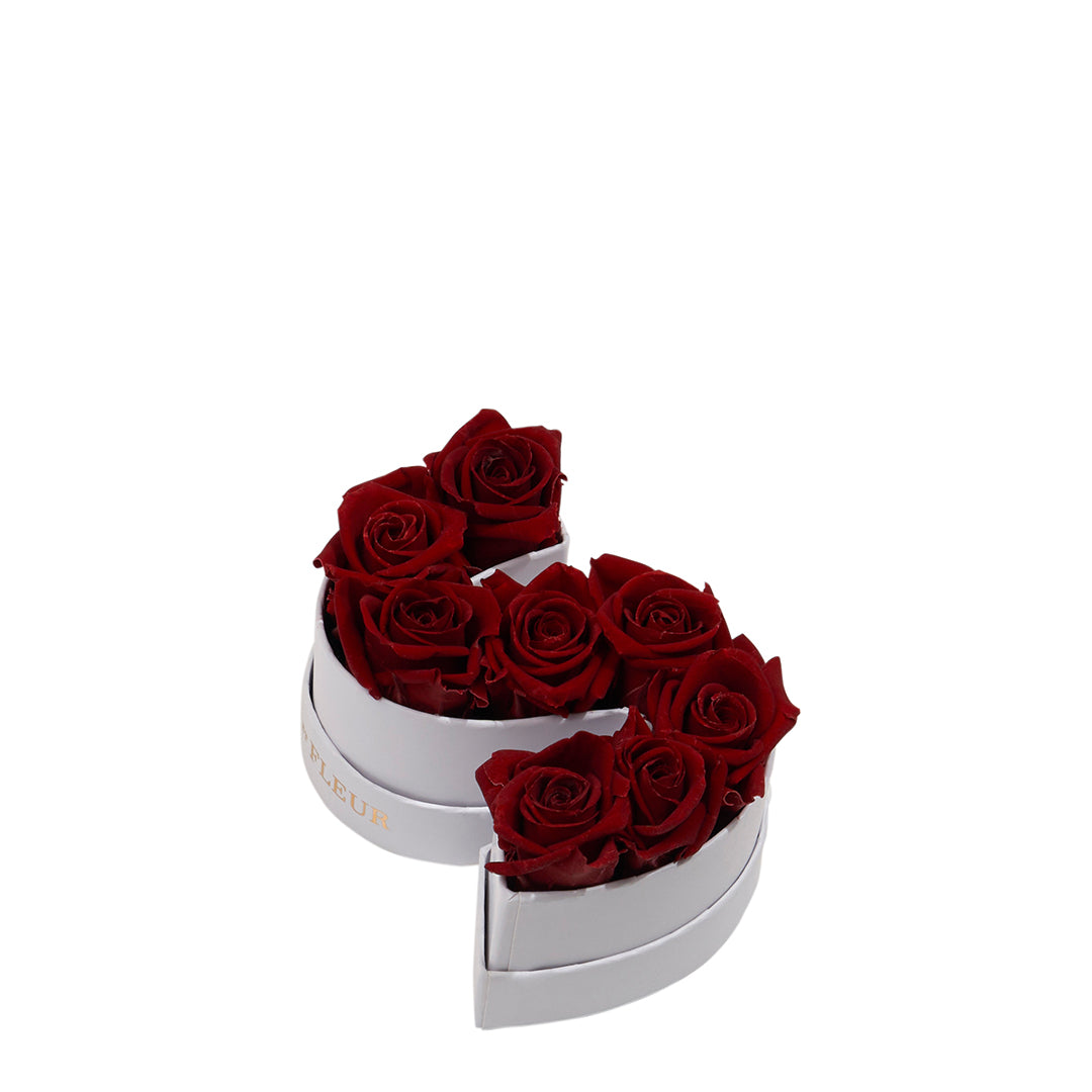 burgundy_67c50300-f123-4f2c-8eb9-095f8e4f5acc.jpg
