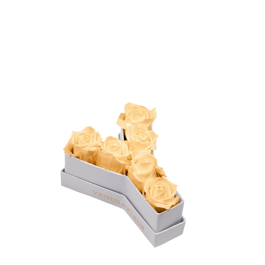 champagne_0bc68dcd-2b4f-49a1-81bc-b1b4a3d725f9.jpg