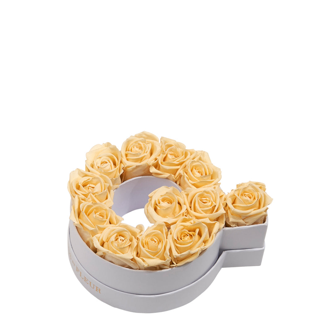champagne_6e1abe3f-4e69-42b8-ad0a-dd5d8b6e85e1.jpg