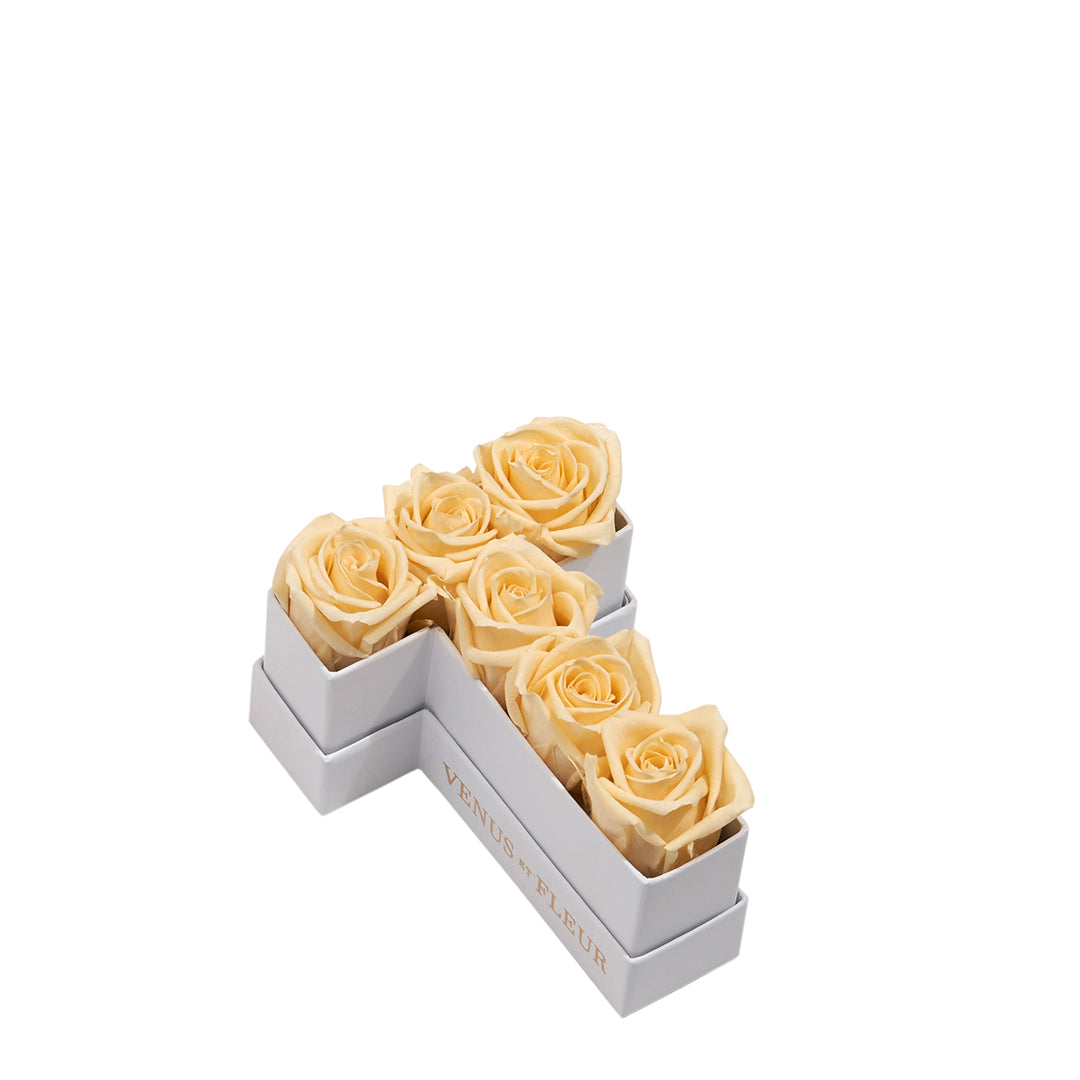 champagne_a258276f-5494-444e-9766-0815ef57ee1d.jpg