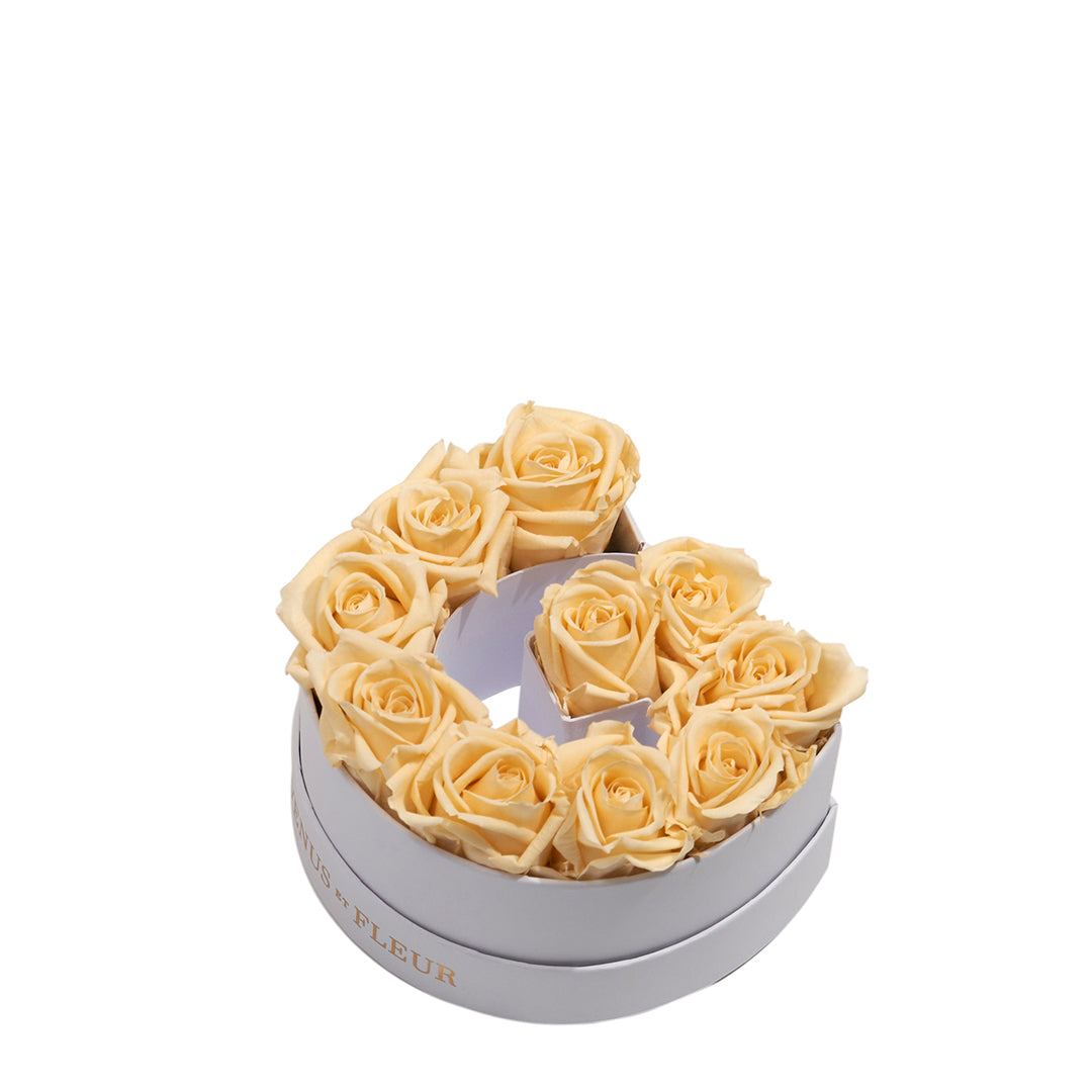 champagne_deccf502-1093-4b5e-8093-97e3dd0461f4.jpg